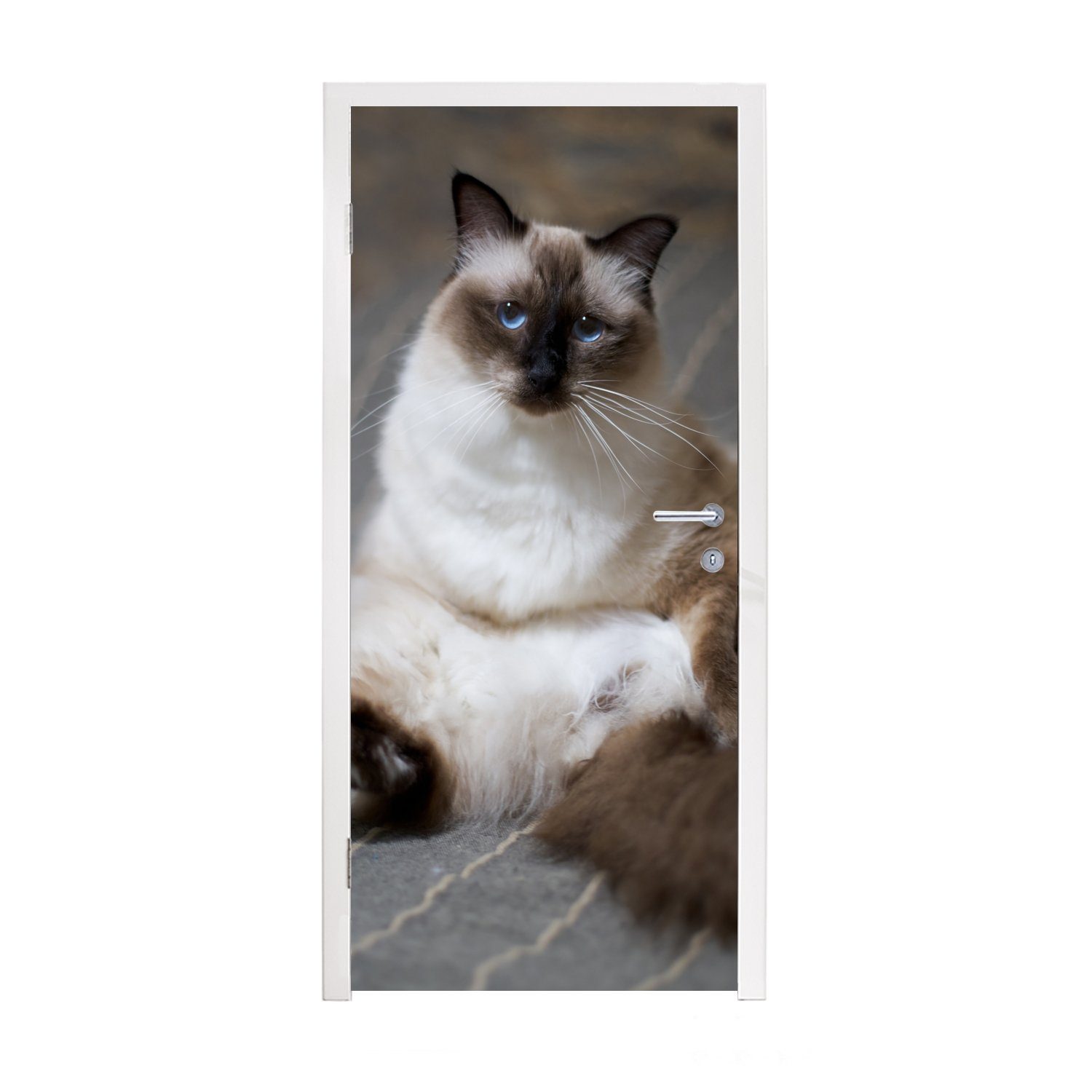 MuchoWow Türtapete Katze - Fell - Braun, Matt, bedruckt, (1 St), Fototapete für Tür, Türaufkleber, 75x205 cm