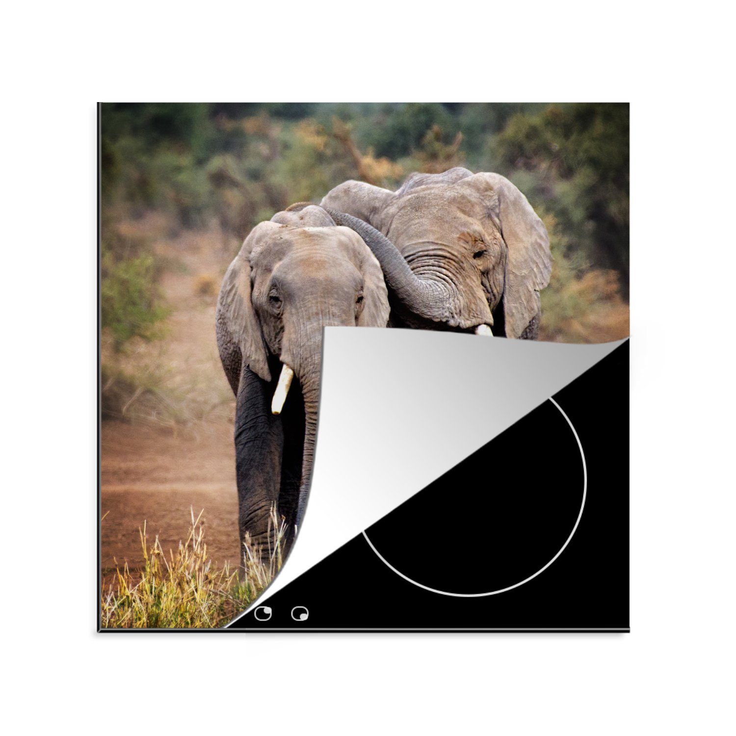 MuchoWow Herdblende-/Abdeckplatte Elefant - Tiere - Bäume - Natur, Vinyl, (1 tlg), 78x78 cm, Ceranfeldabdeckung, Arbeitsplatte für küche