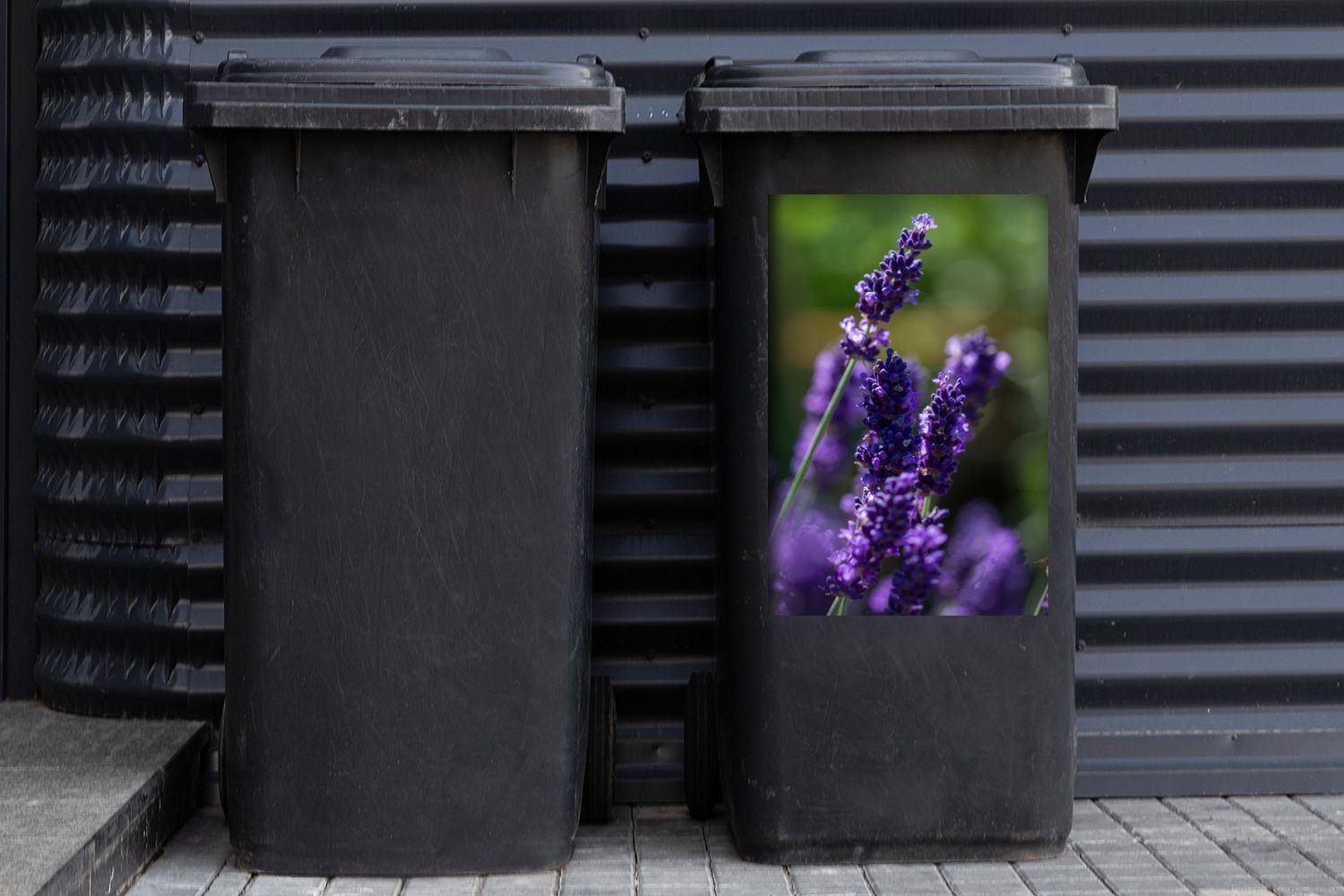grünen Hintergrund Wandsticker Container, Nahaufnahme Lavendel St), (1 einem Mülleimer-aufkleber, MuchoWow Abfalbehälter Mülltonne, Sticker, vor von