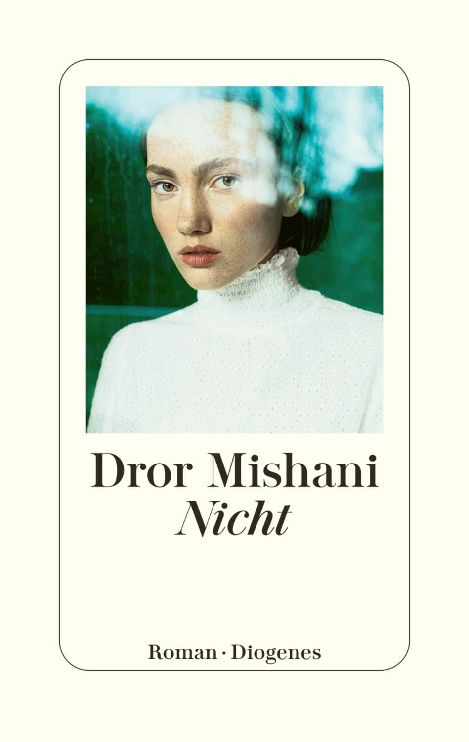 Nicht / Dror Mishani