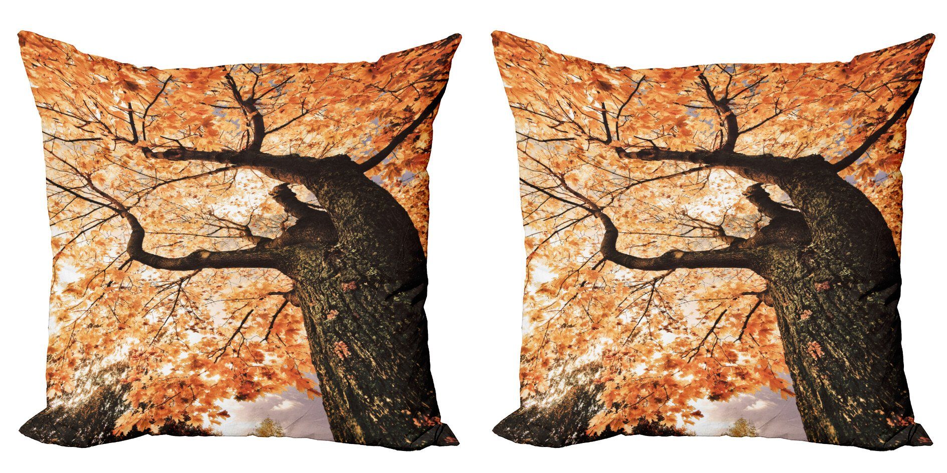 Kissenbezüge Modern Accent Doppelseitiger Digitaldruck, Abakuhaus (2 Stück), Landschaft Alter Baum Botanik Holz