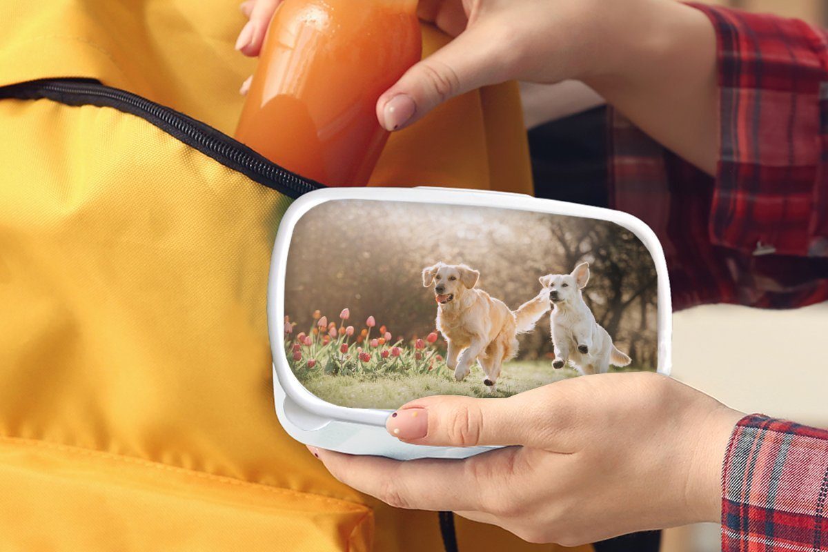 für Kunststoff, Kinder Frühling, Sonne Brotdose, Erwachsene, und (2-tlg), - Lunchbox Hunde Mädchen und MuchoWow für - Jungs weiß Brotbox