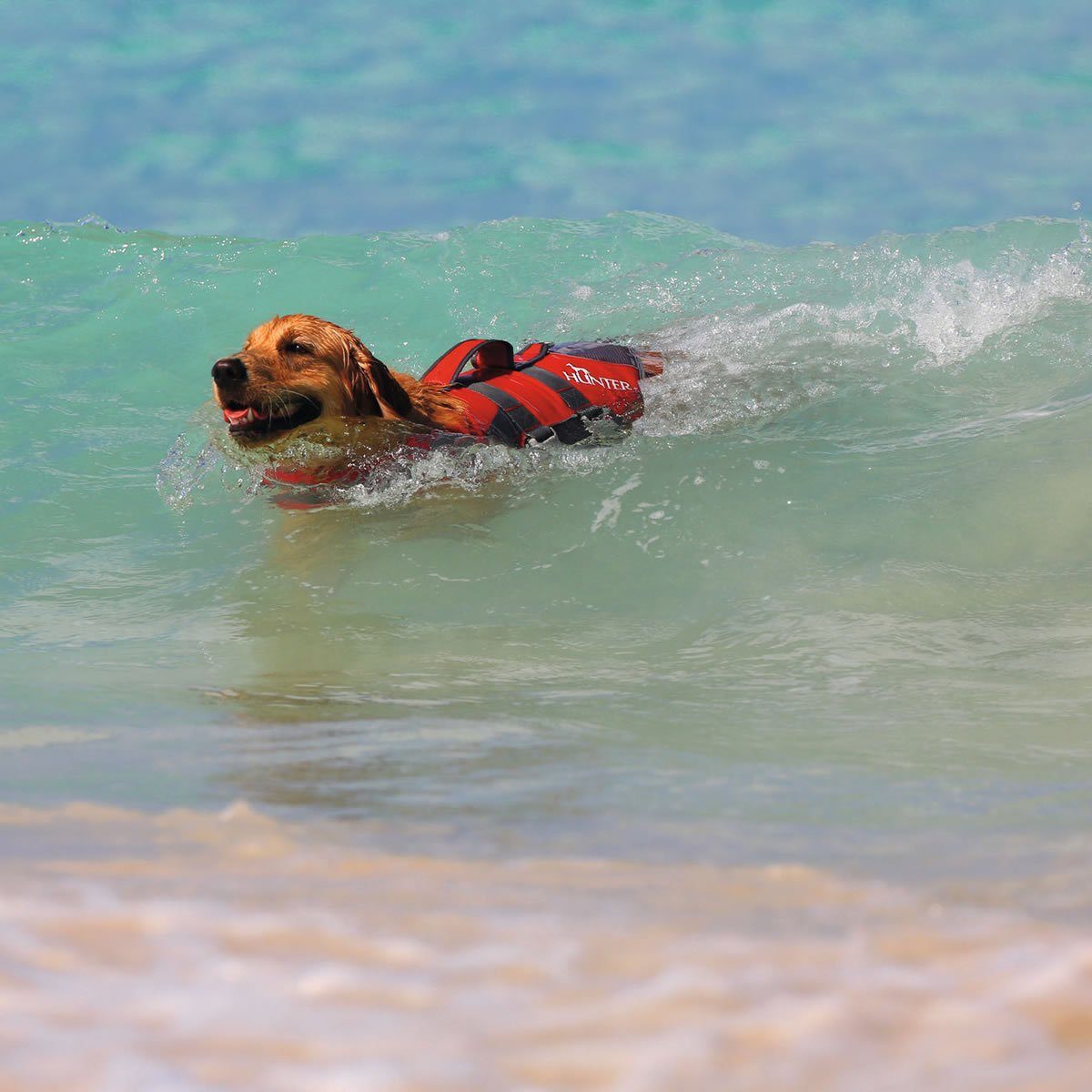 Hunter Tierbedarf Schwimmweste Schwimmweste Moss