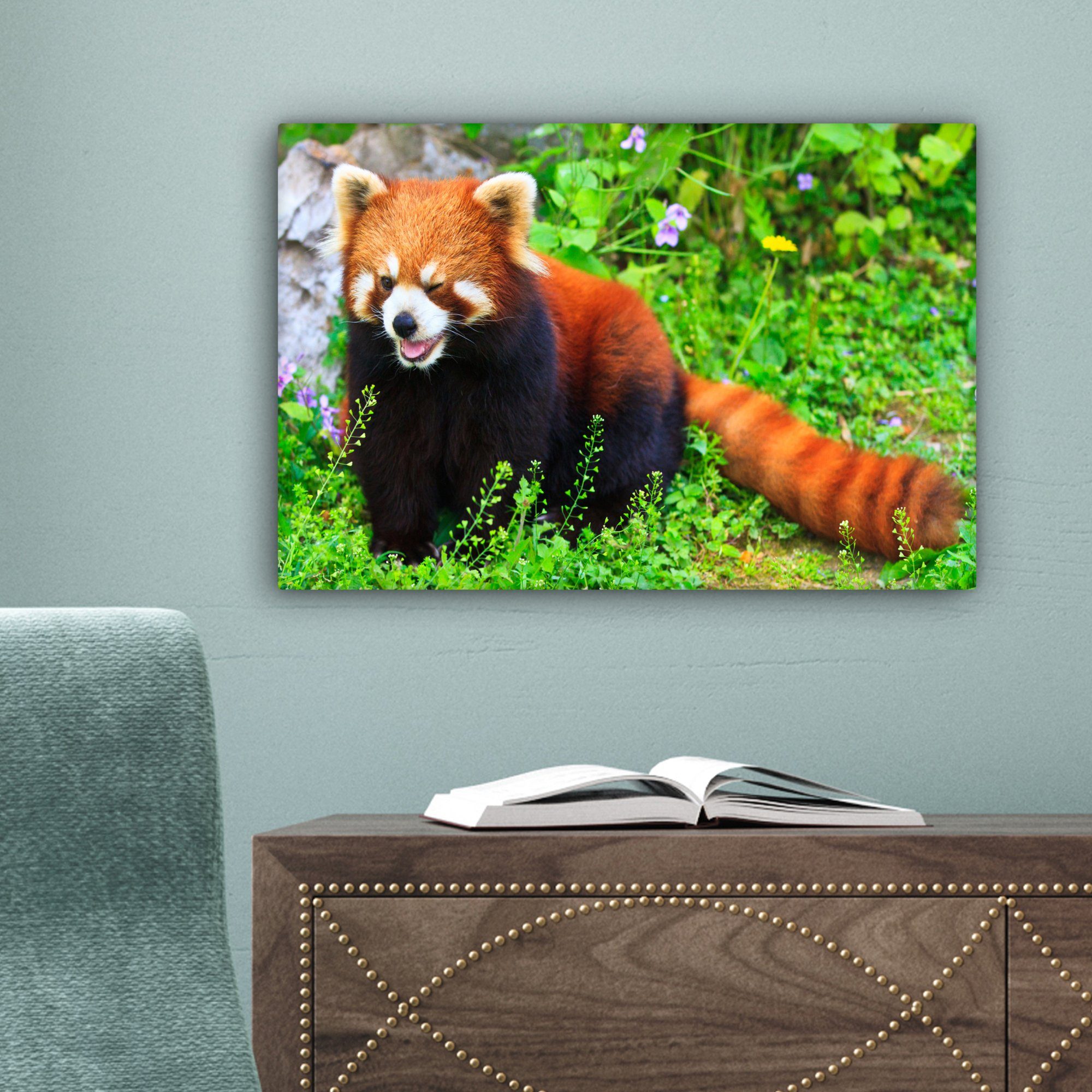 Aufhängefertig, Wanddeko, St), Panda Roter Leinwandbilder, 30x20 - Gras, Grün Leinwandbild (1 Wandbild cm OneMillionCanvasses® -