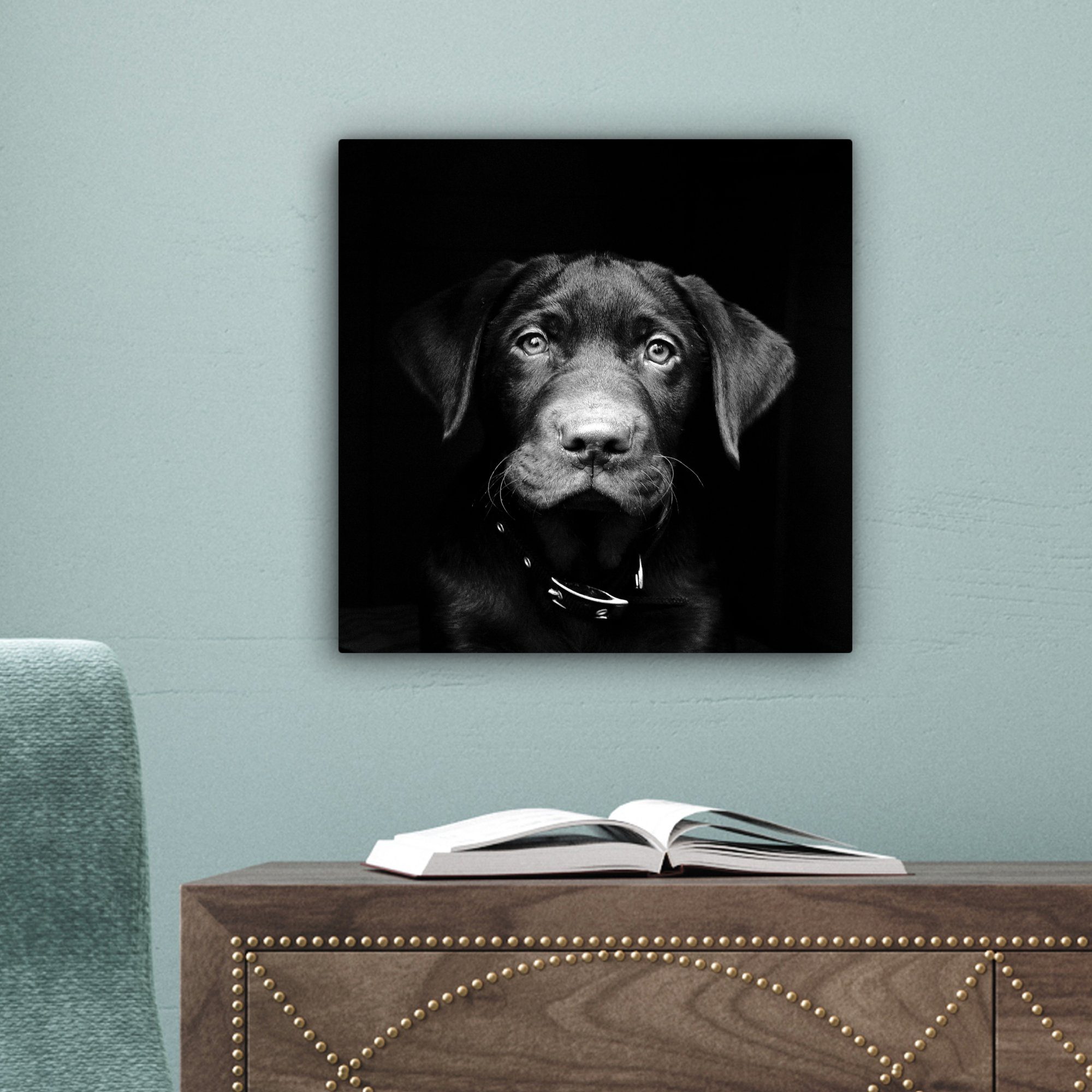 OneMillionCanvasses® Leinwandbild Hund cm für Leicht Wohnzimmer St), Schwarz, Schlafzimmer, - Bilder (1 - 20x20 Leinwand