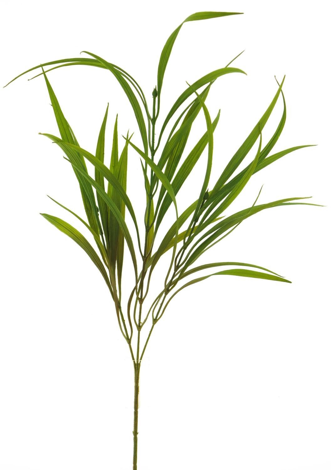 Kunstzweig Fake Zweig Schilfgras MEIFEI, grün-braun, 80 cm Schilf, artplants, Höhe 80.0 cm
