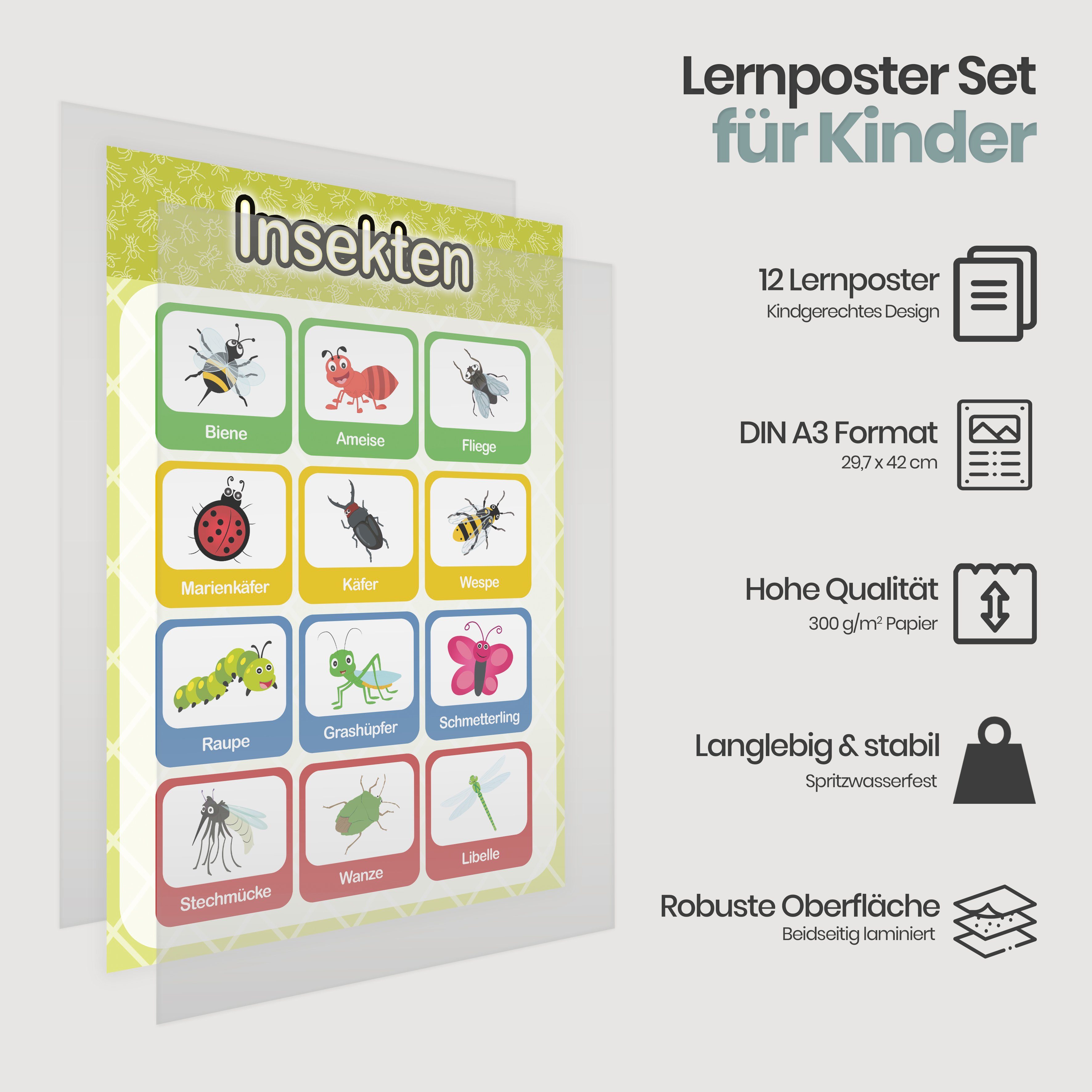 Likarto Poster 12 pädagogische Montessori Lernposter, Grundlagen 2, Extra dickes Papier und beidseitig laminiert, lernen
