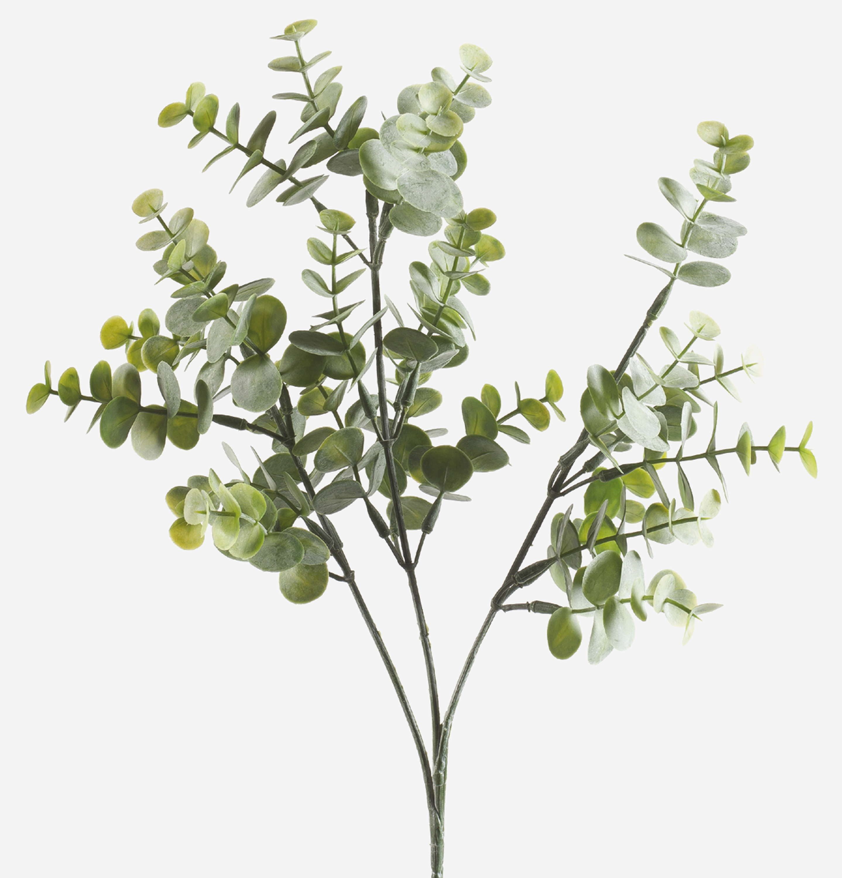 Kunstzweig Eukalyptus Zweig GIV, grün-grau, 65cm Eukalyptus, artplants