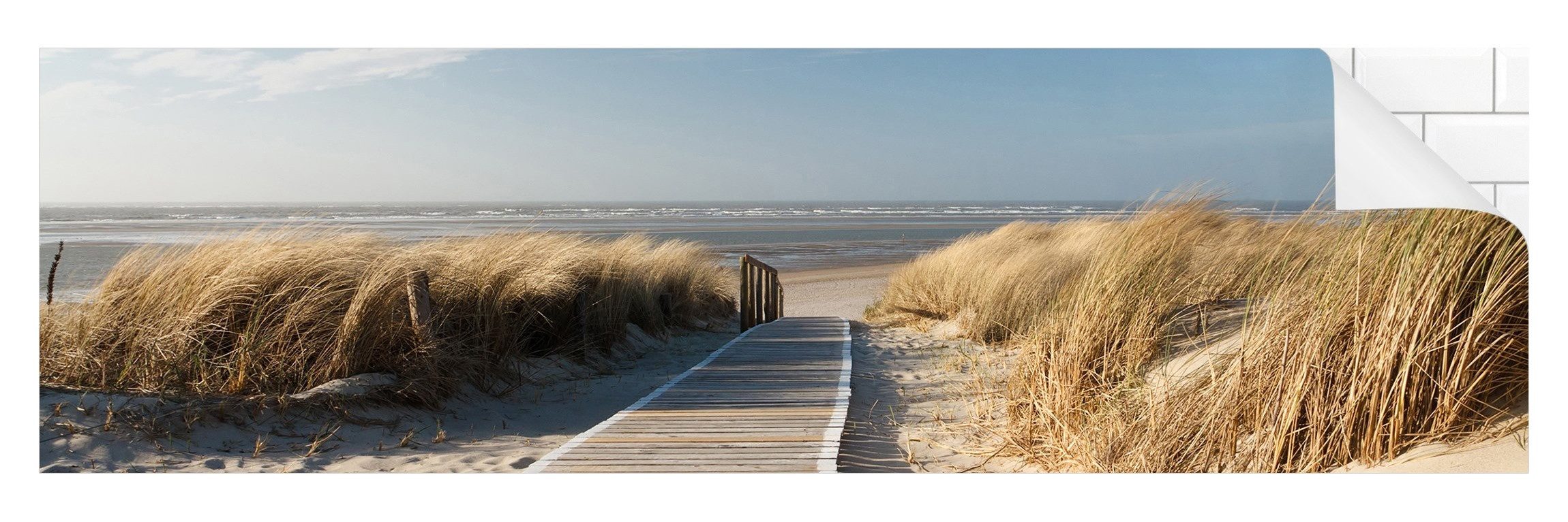 Bilderdepot24 Küchenrückwand beige dekor Natur Strand Meer Ostsee Strand Wa günstig online kaufen