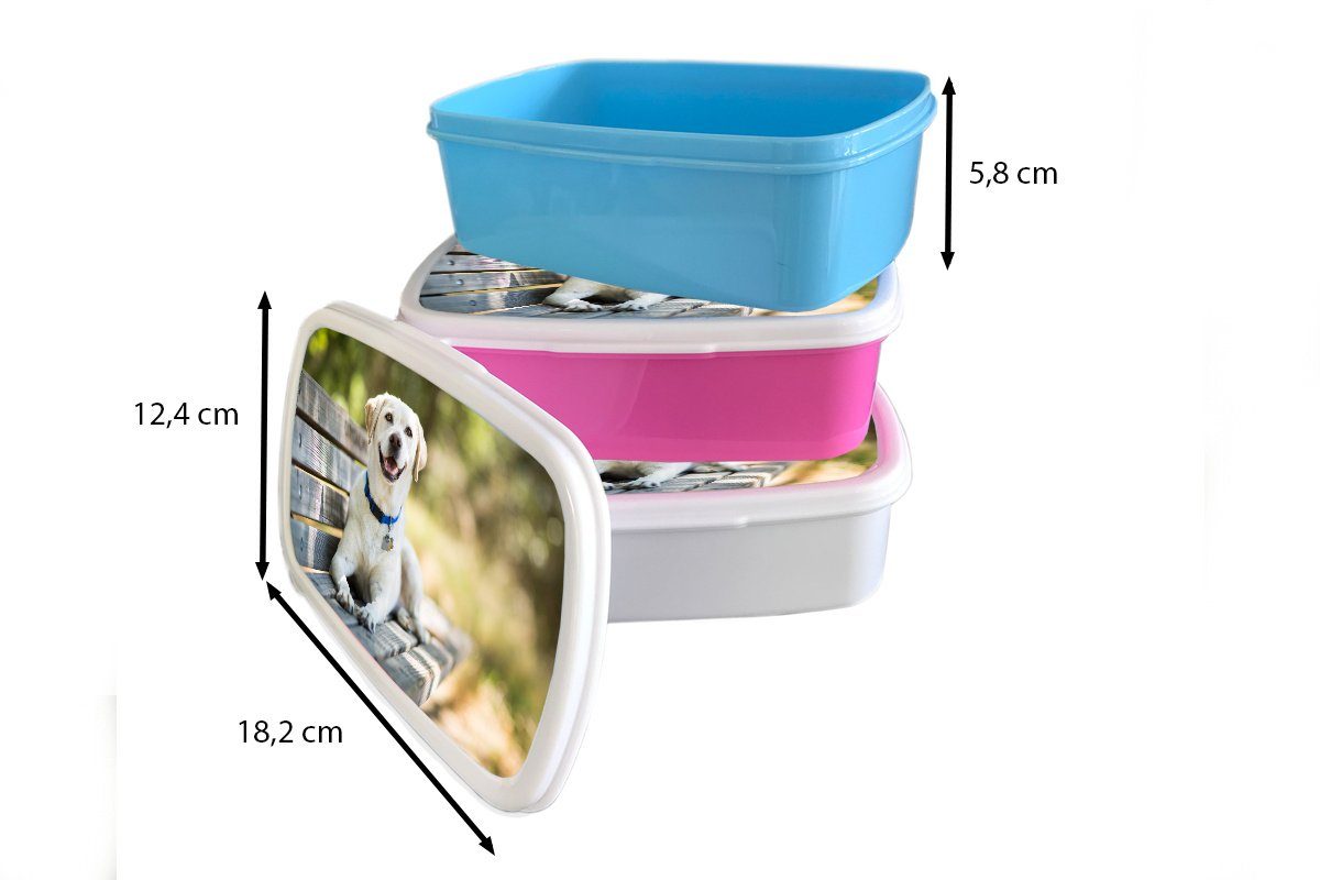 auf Bank, liegend Mädchen, rosa Brotbox Erwachsene, (2-tlg), für Snackbox, Brotdose Labrador Kunststoff MuchoWow Retriever einer Kinder, Kunststoff, Lunchbox