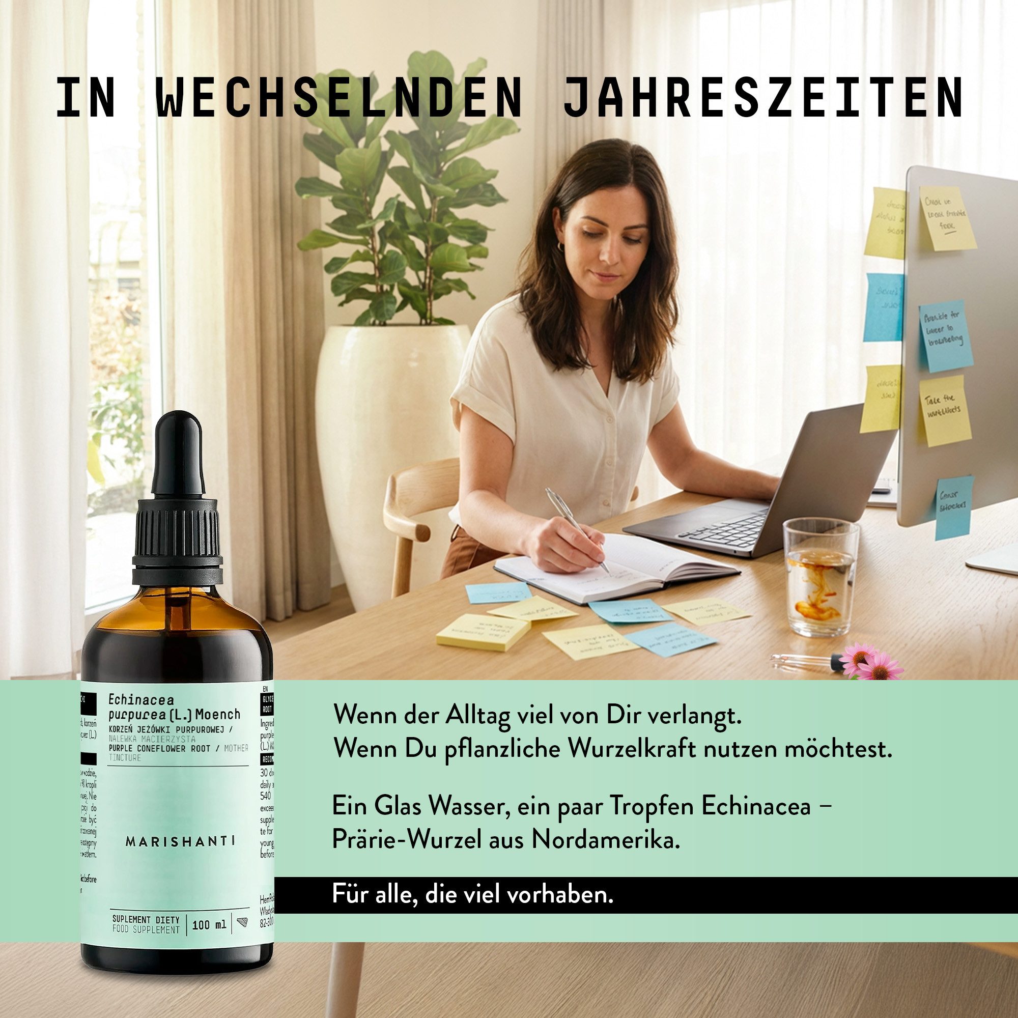 MARISHANTI Echinacea Extrakt – alkoholfreie Tropfen, als pflanzliche Tinktur aus (Echinacea purpurea) à 100 ml, – Vegan