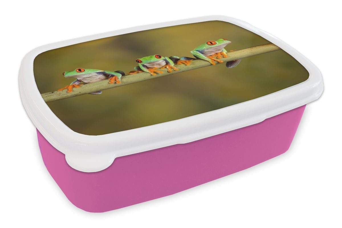Brotdose Lunchbox Kinder, Erwachsene, Mädchen, MuchoWow für rosa Frösche (2-tlg), Zweig, Brotbox - Kunststoff, Snackbox, Kunststoff