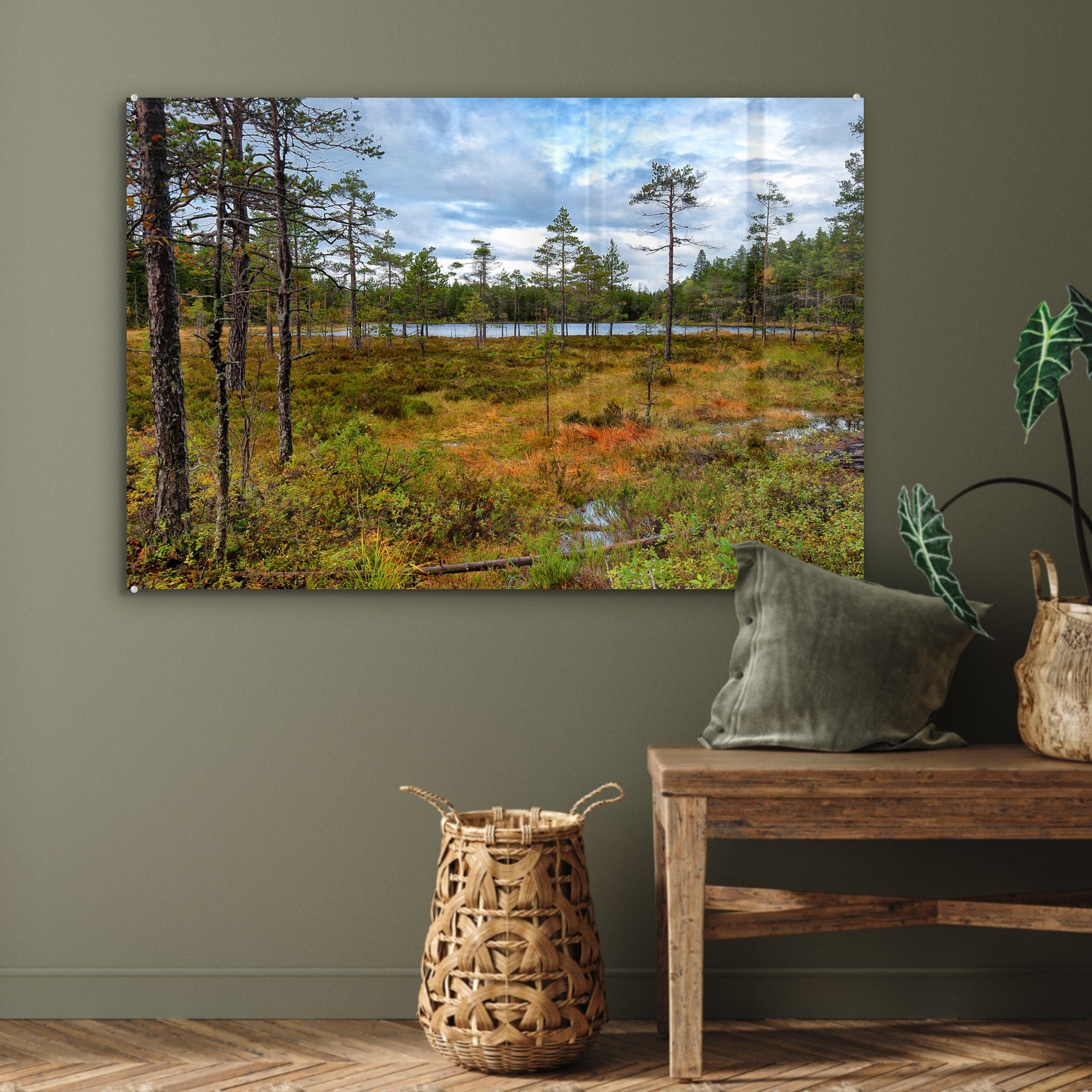 Skuleskogen-Nationalpark & in Schweden, MuchoWow Schlafzimmer (1 Wälder Acrylglasbild im St), Acrylglasbilder Wohnzimmer gefärbte Herbstlich