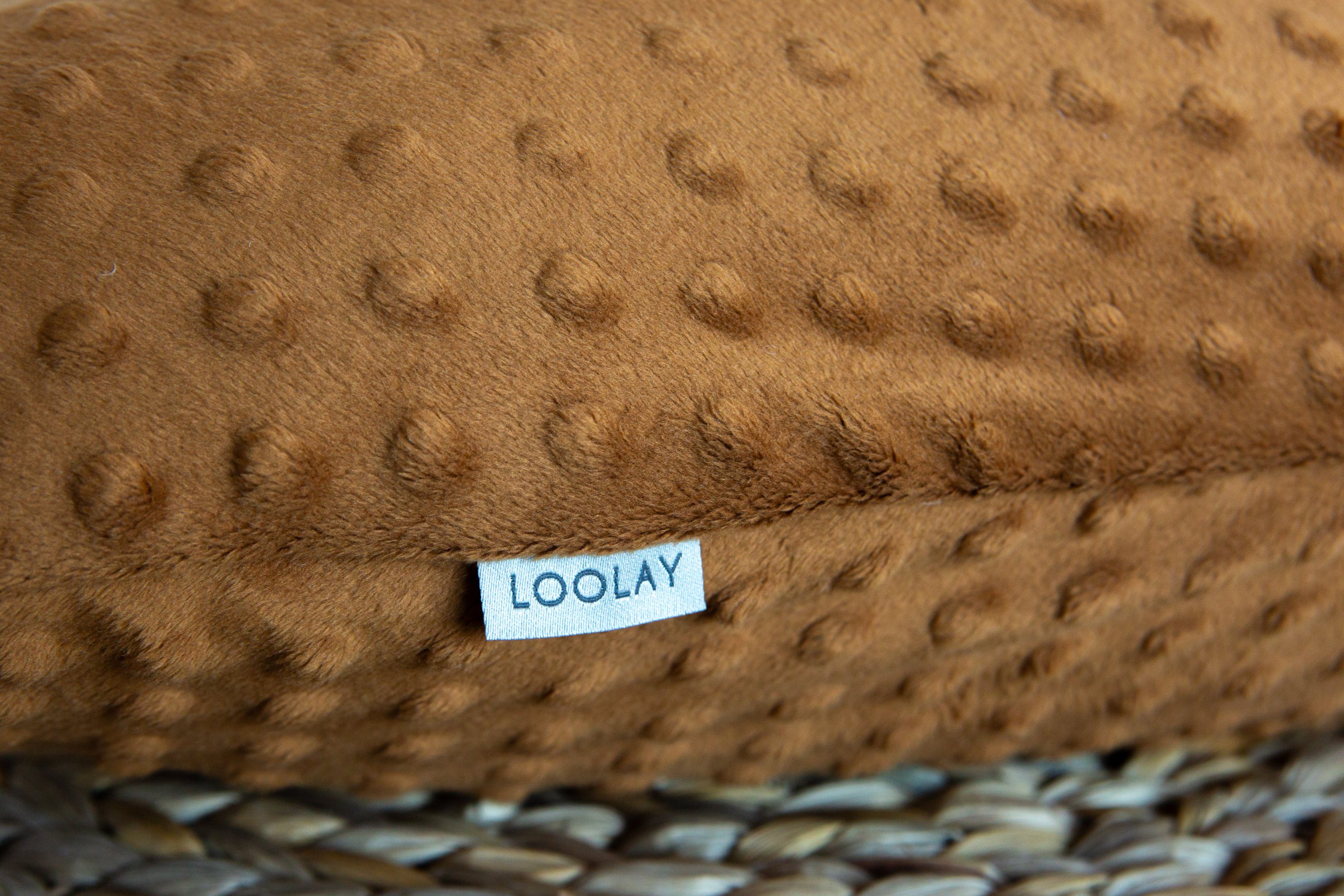 LOOLAY® und + L/XL, o. GESCHENK MINKY 170 g/m2), 100% Seitenschläferkissen 100% Stoff Kleinserien-Nähen! - Füllung & abnehmbar MINKY MINKY Medium-WEICH 3. Stillkissen 350 Bezug, cm Flece Minky + Schwangerschaftskissen Polar Stillkissenbezug Stoffe BRAUN PREMIUM 190 (hochwertiger Europäische Stillkissen Loolay 100% 170 M/L