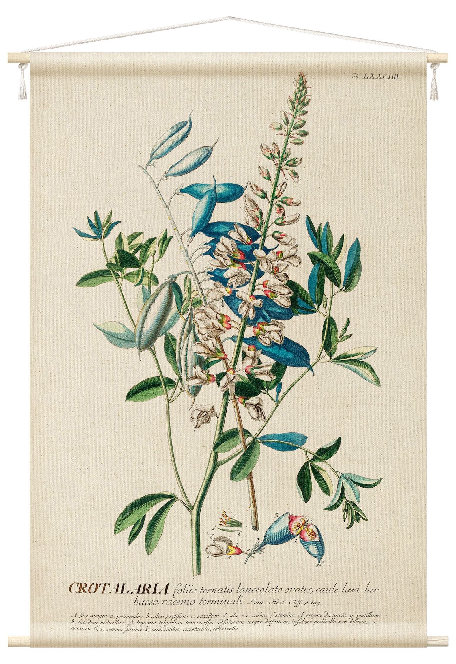 Bilderdepot24 Wandteppich modern Blumen Botanik Vintage blau, rechteckig, Höhe: 2.6 mm, großes Wandbild aus Natur-Baumwolle Wandbehang Stoffbild Tuch Wollseil