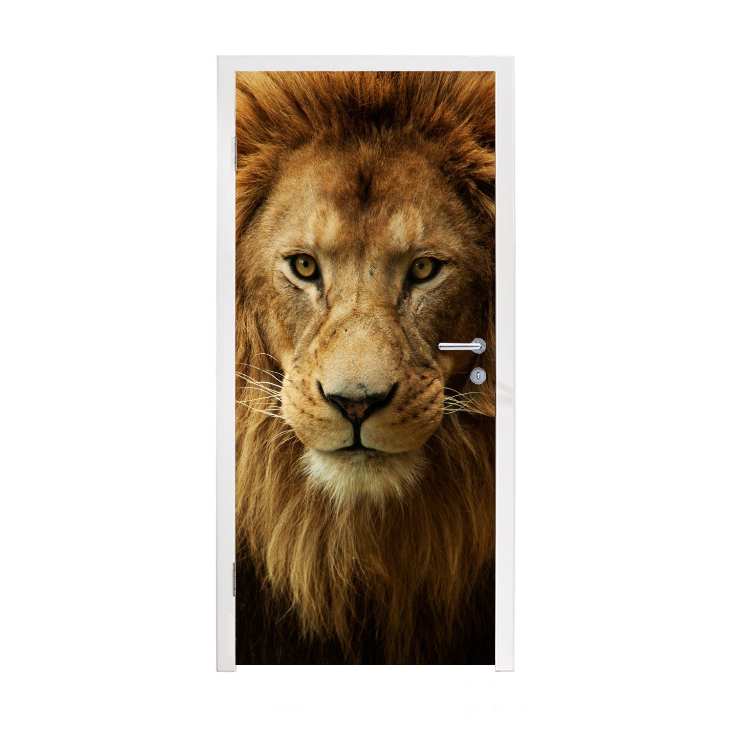 MuchoWow Türtapete Afrikanischer Löwe Porträt, Matt, bedruckt, (1 St), Fototapete für Tür, Türaufkleber, 75x205 cm