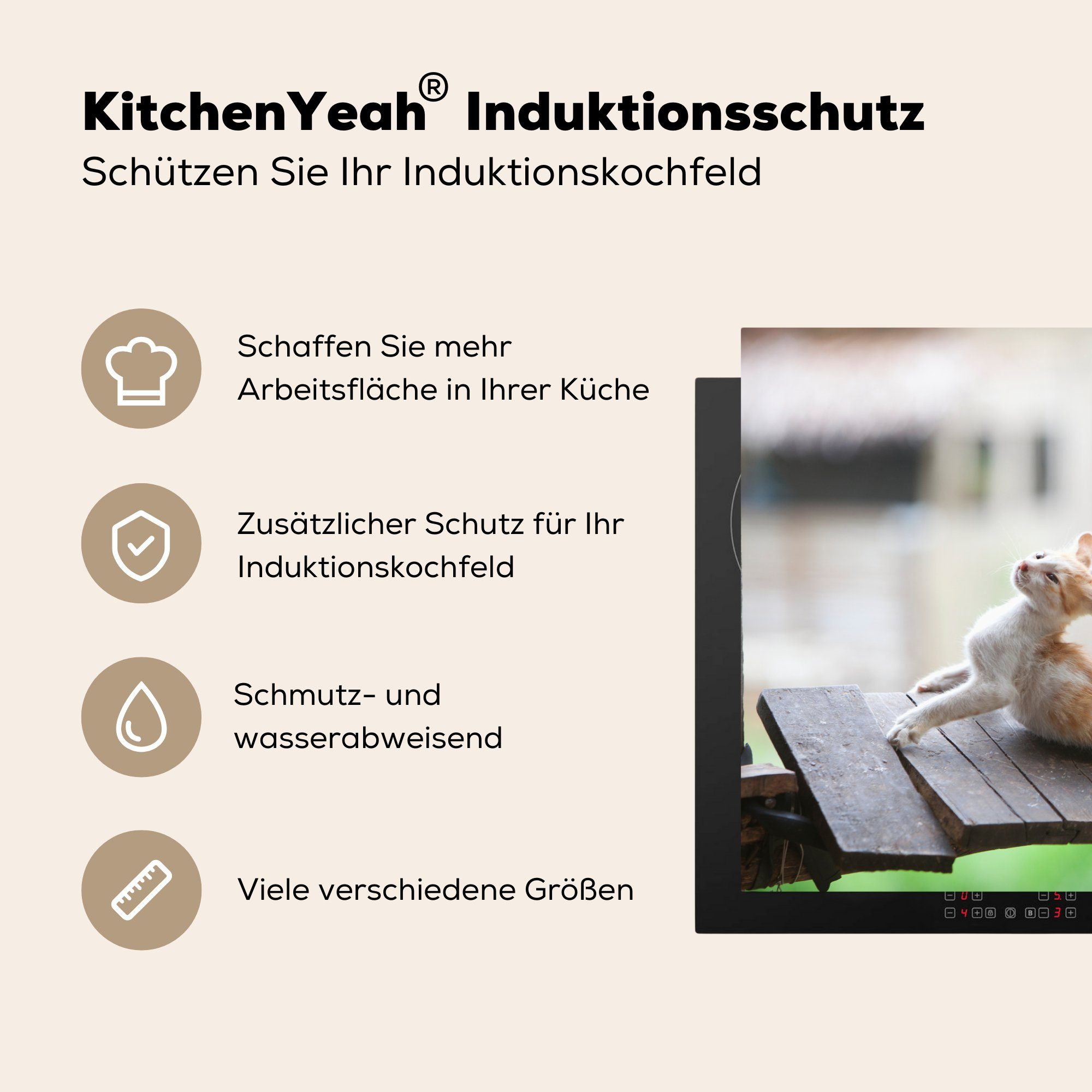 küche, Affe (1 81x52 Vinyl, für - - Herdblende-/Abdeckplatte Holz, Ceranfeldabdeckung tlg), die MuchoWow cm, Schutz Katze Induktionskochfeld