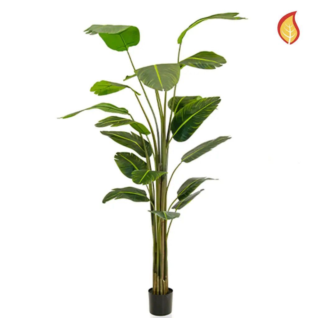 Kunstbaum Künstliche Strelitzia - Zita, 240 cm, aplanta, Höhe 240 cm