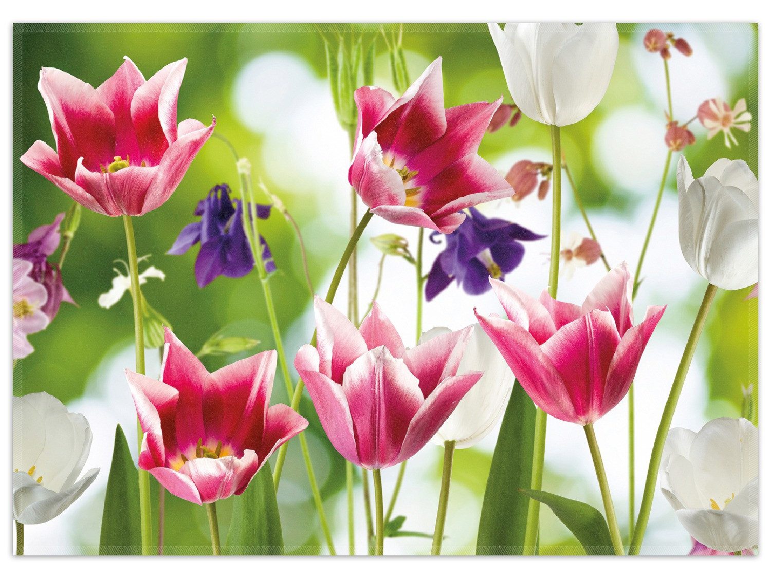 Wallario Teppich Blühende Blumen im Frühling in pink und weiß, rechteckig, rutschfest