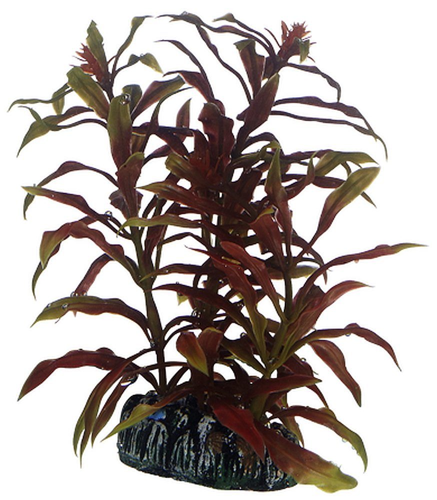 HOBBY Aquariendeko Hobby Nesaea, künstliche Pflanze 13 cm