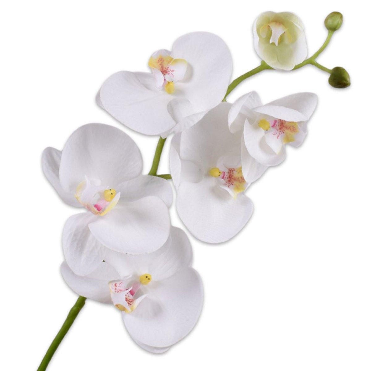 Künstliche Zimmerpflanze Seidenblume Orchidee Phalaenopsis Weiß (80cm), SILK-KA
