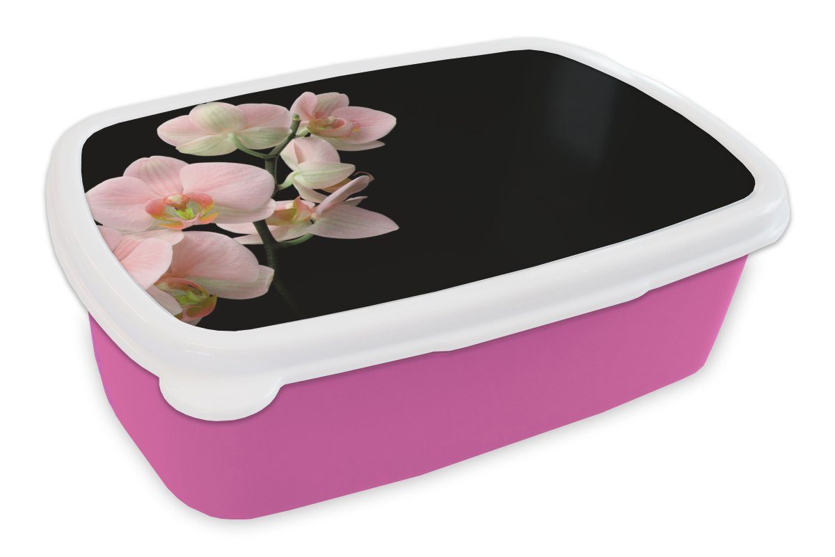 MuchoWow Lunchbox Orchidee - Blumen - Rosa - Stilleben - Flora, Kunststoff, (2-tlg), Brotbox für Erwachsene, Brotdose Kinder, Snackbox, Mädchen, Kunststoff
