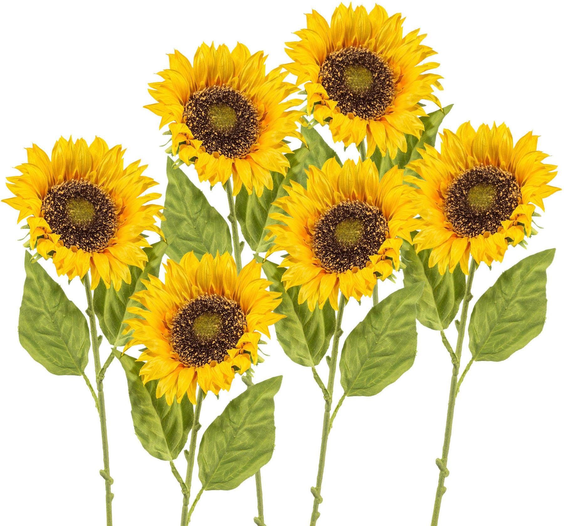 Kunstblume, Creativ green, Höhe 66 cm, 6er Set günstig online kaufen