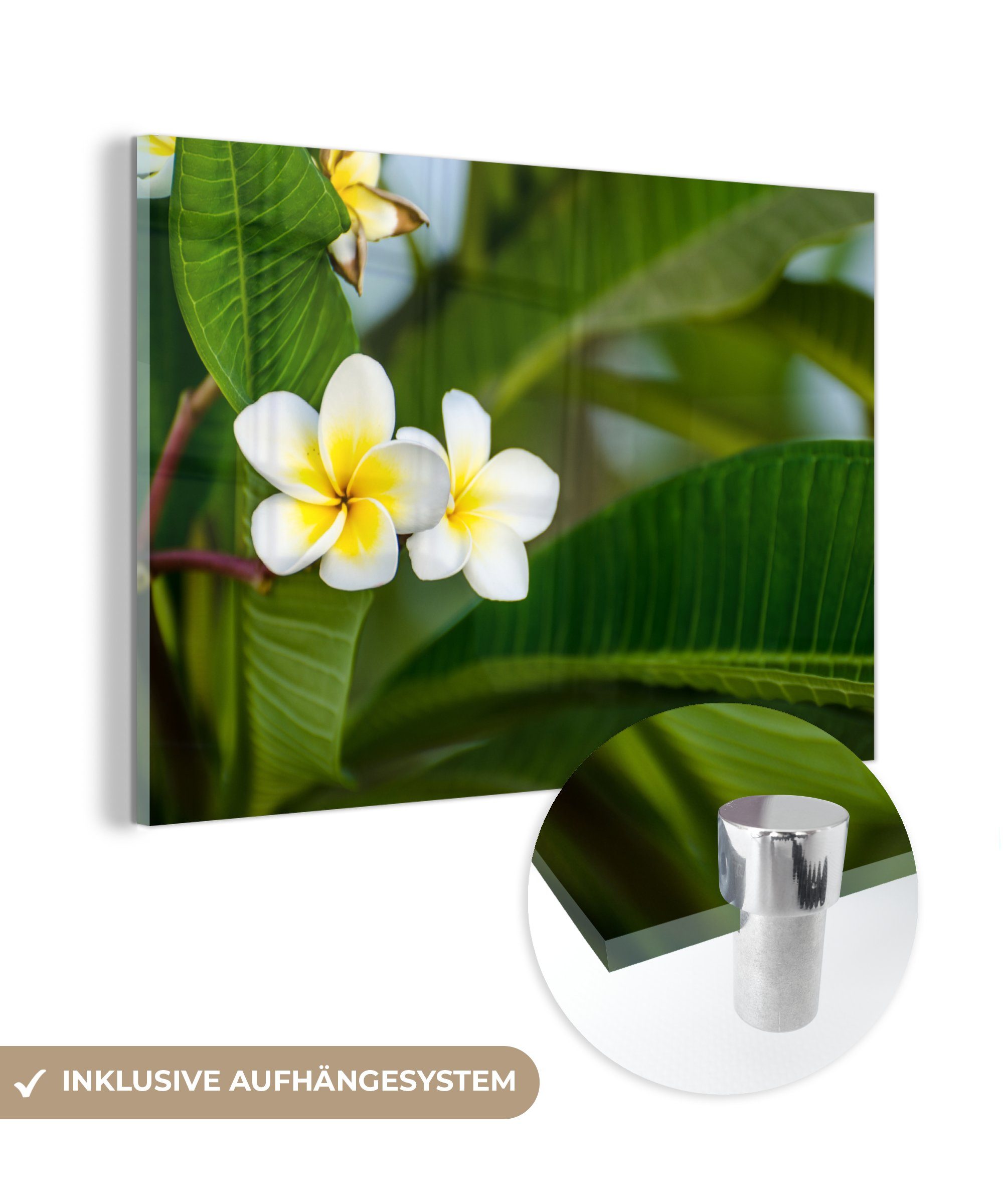 MuchoWow Acrylglasbild Blumen - Gelb - Blätter, (1 St), Acrylglasbilder Wohnzimmer & Schlafzimmer