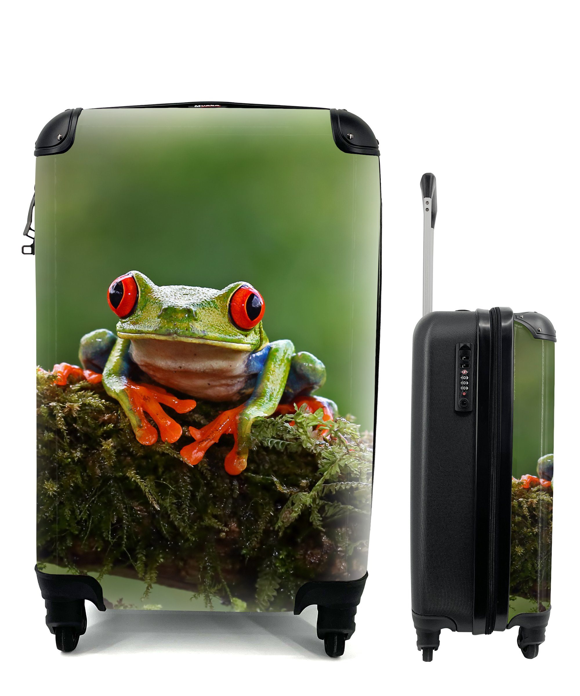 Ast, Reisetasche 4 Handgepäck Reisekoffer rollen, Rotäugiger Quecksilberfrosch Trolley, Rollen, MuchoWow Handgepäckkoffer für Ferien, auf bewachsenem mit