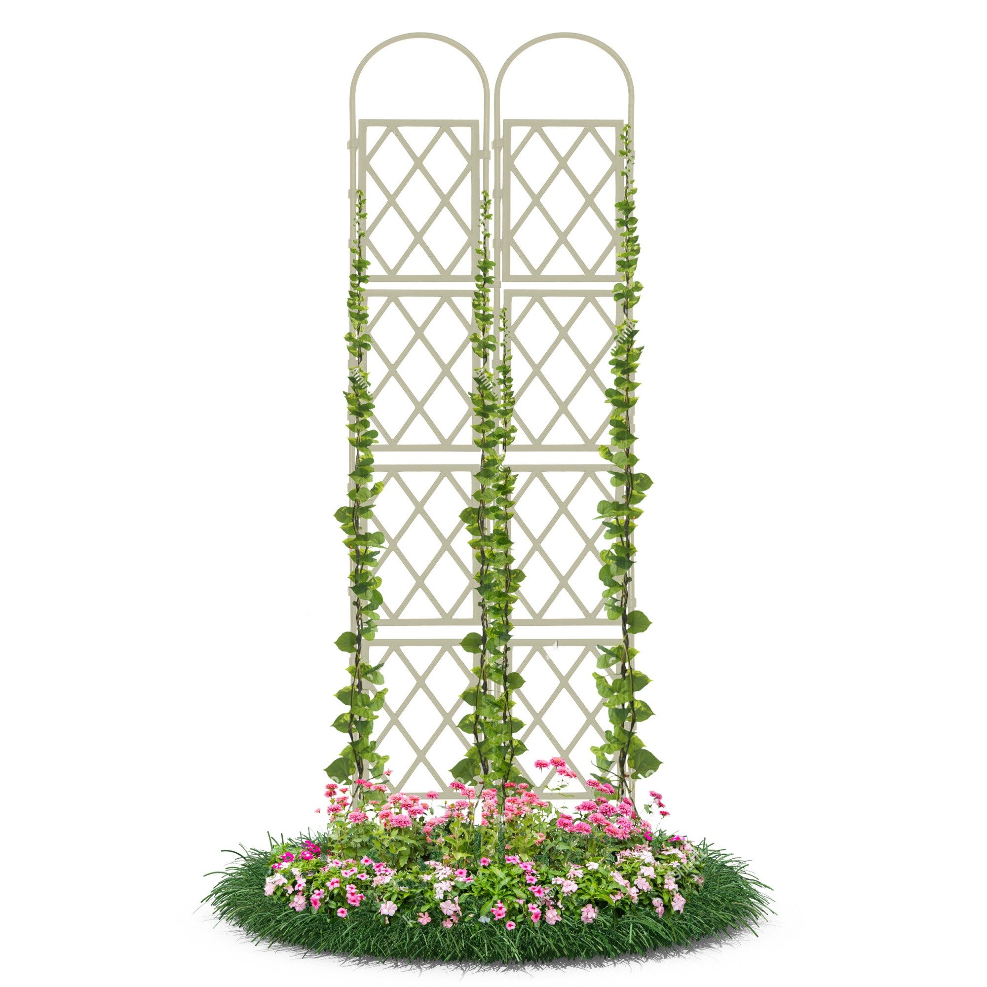 Gartenwelt Riegelsberger Rankhilfe Wandspalier mit Bogen günstig online kaufen