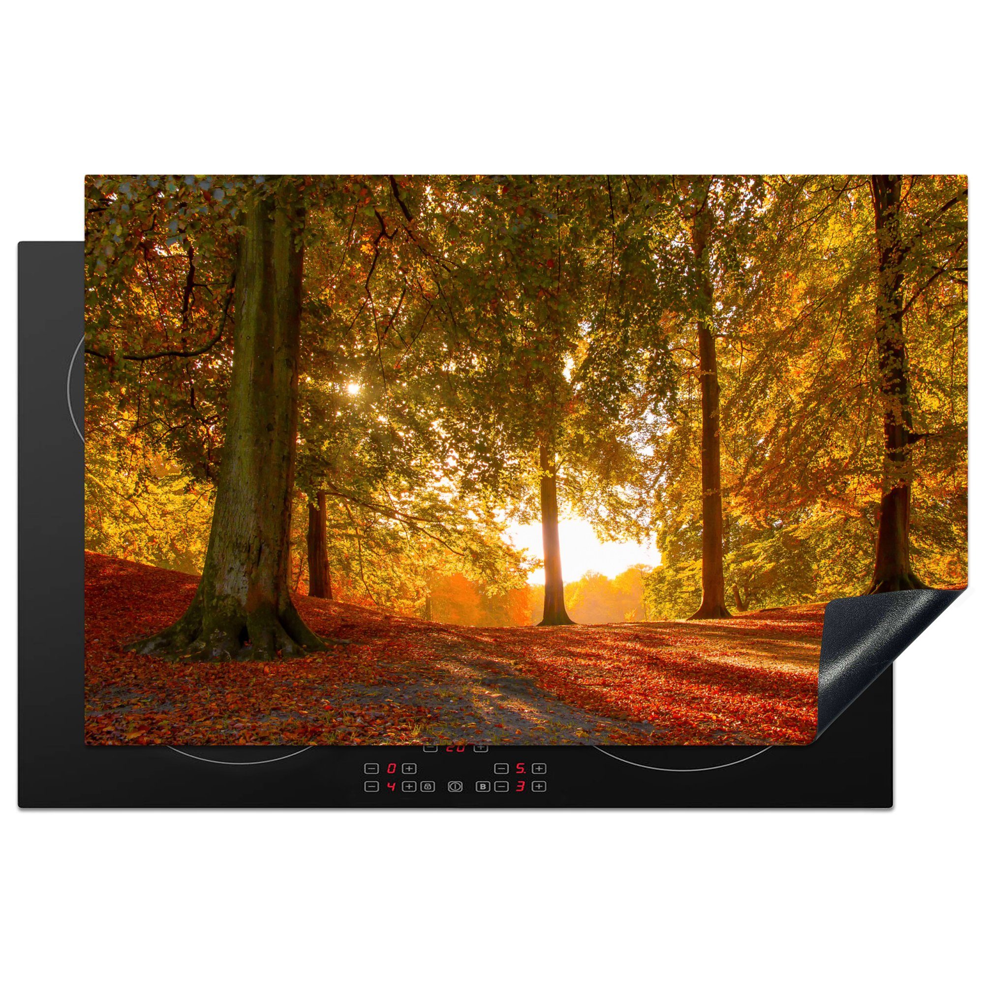 MuchoWow Herdblende-/Abdeckplatte Herbst - Licht - Wald, Vinyl, (1 tlg), 81x52 cm, Induktionskochfeld Schutz für die küche, Ceranfeldabdeckung
