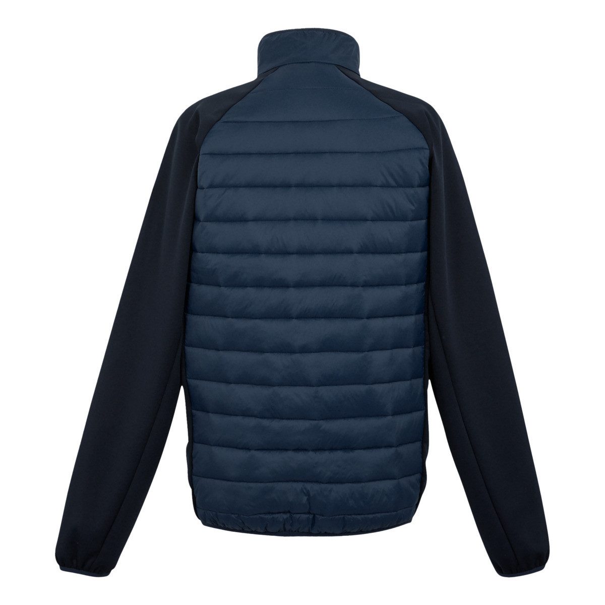 Regatta Funktionsjacke Clumber IV Hybrid Herren günstig online kaufen