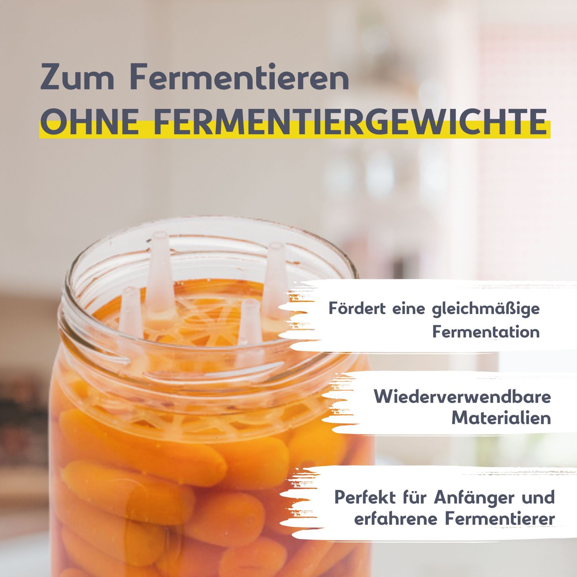 mikken Fermentationsglas Fermentieren Starter Set 6 Fermentiergläser 540 ml, (Starter Set zum Fermentieren, 6er), Made in EU – Bild 3 von 5