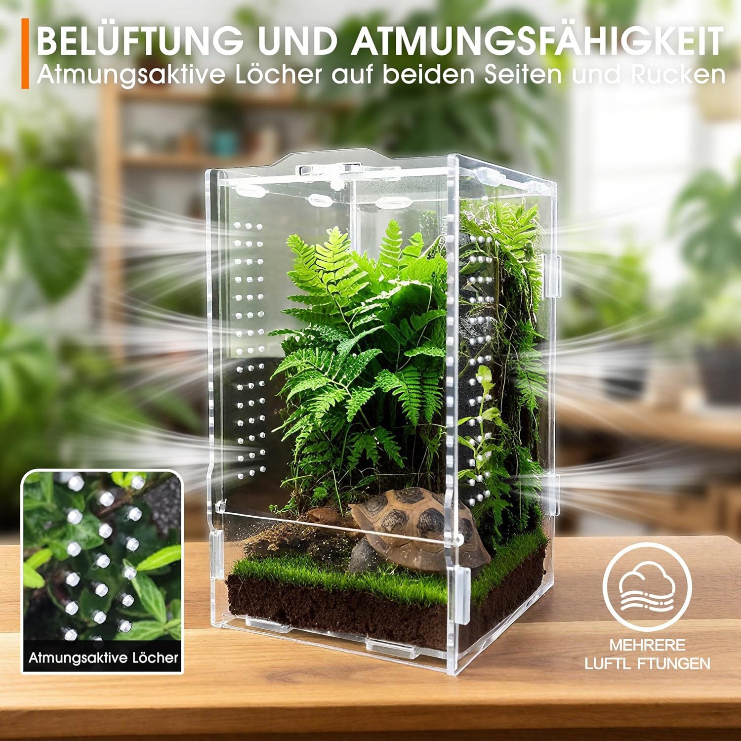 FELIXLEO Terrarium Faunarium Acryl Terrarium für Reptilien Amphibien Insekten 12x11x20