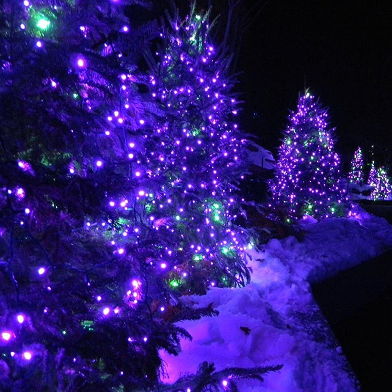 20m mit Baum, Weihnachten for Lichterkette Garten Party LED-Baummantel Außen Rosnek Lila 3M-Verlängerungskabel LED 156-flammig, Innen