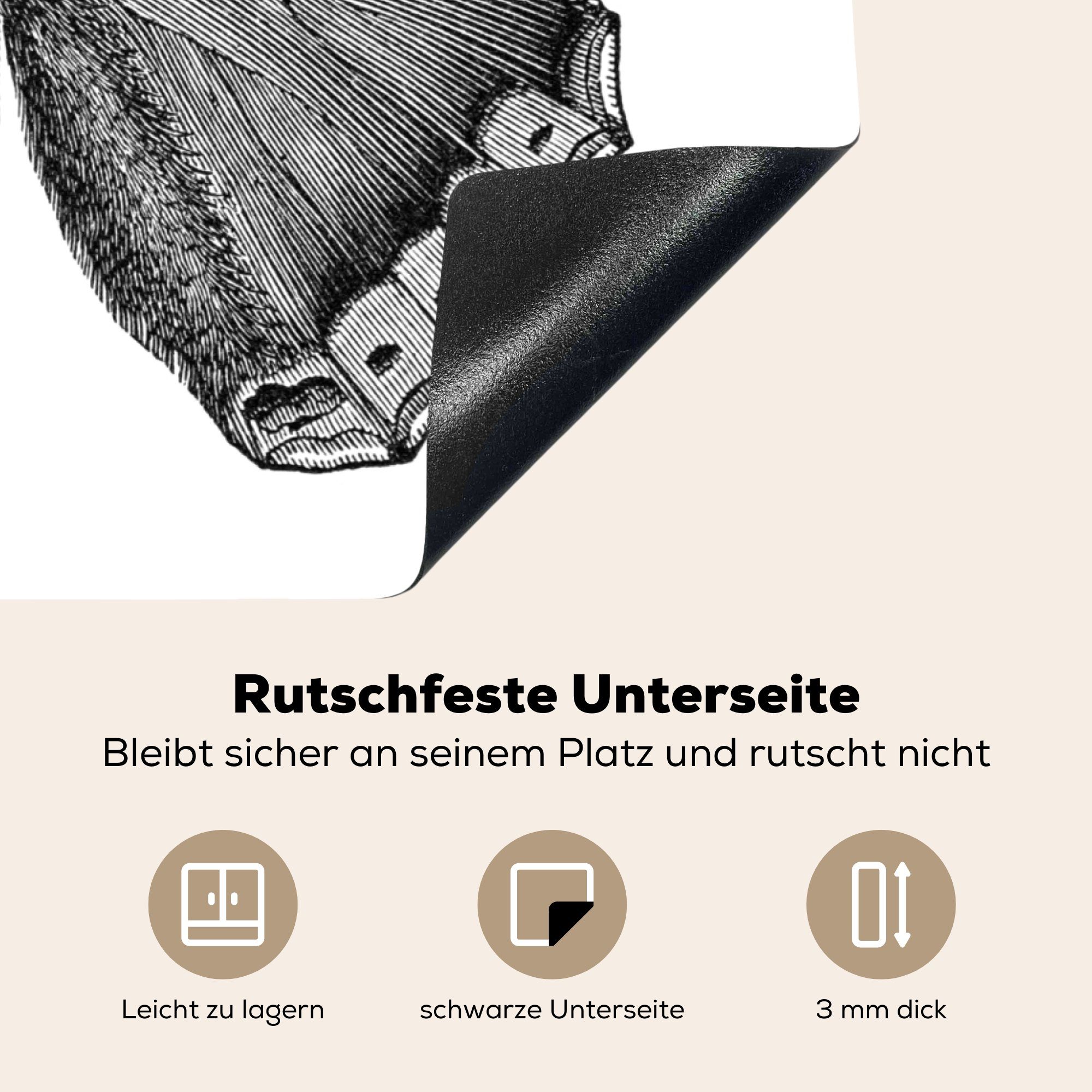 MuchoWow Herdblende-/Abdeckplatte Botanische Illustration Schmetterling, nutzbar, tlg), Mobile 70x52 (1 cm, Vinyl, Arbeitsfläche Ceranfeldabdeckung