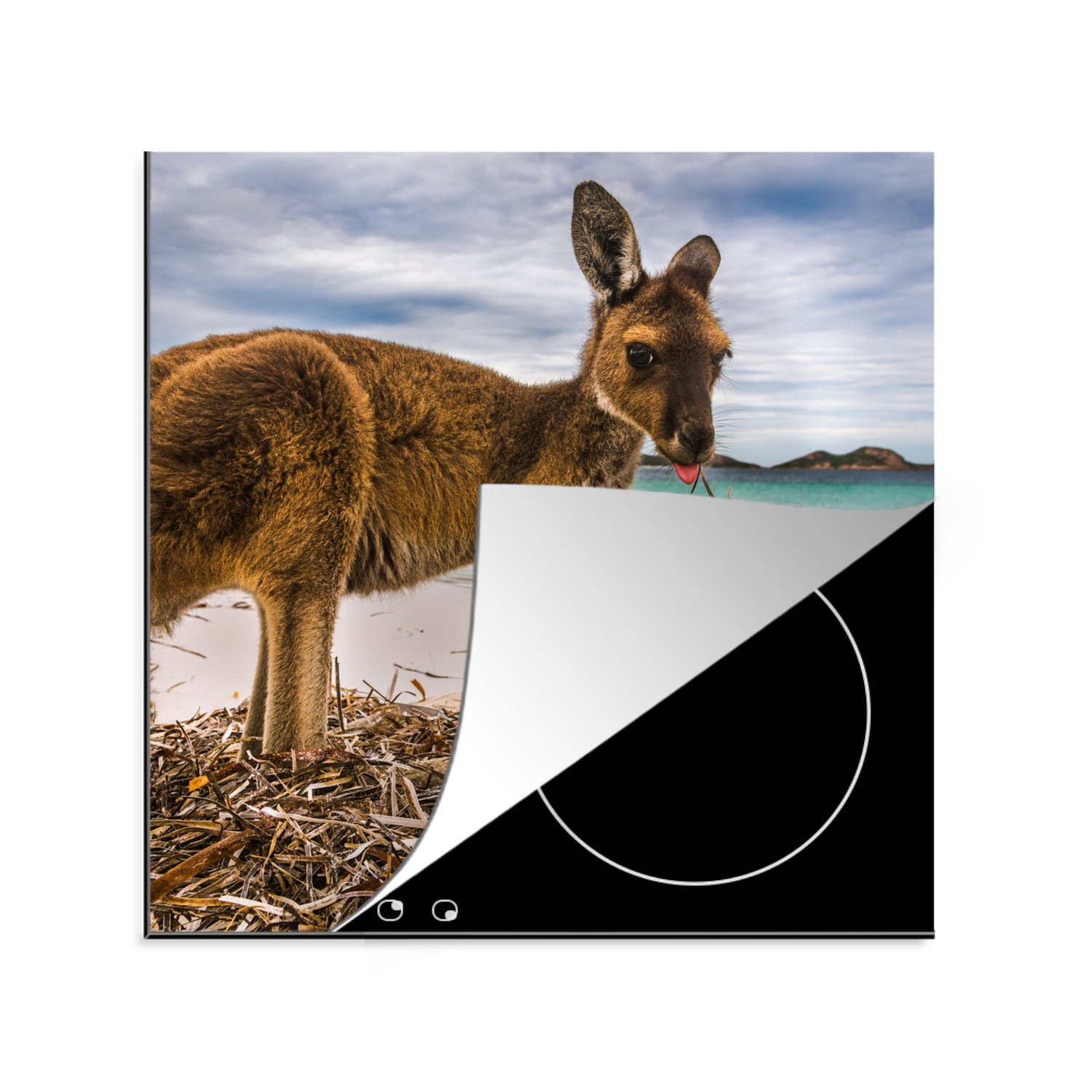 MuchoWow Herdblende-/Abdeckplatte Känguru - Strand - Äste, Vinyl, (1 tlg), 78x78 cm, Ceranfeldabdeckung, Arbeitsplatte für küche