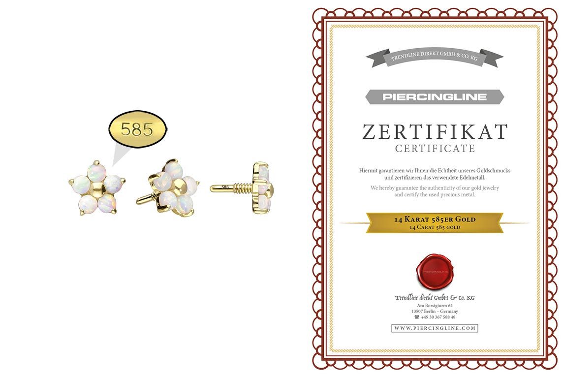PIERCINGLINE Piercing-Set 14 Karat Gold Schraubaufsatz günstig online kaufen