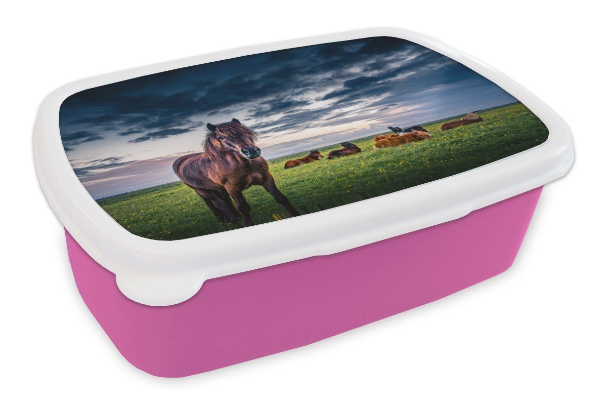 Brotbox Kinder, Mädchen, Snackbox, für Kunststoff, MuchoWow Wolken Kunststoff Erwachsene, Pferde Brotdose - Gras, Lunchbox rosa - (2-tlg),