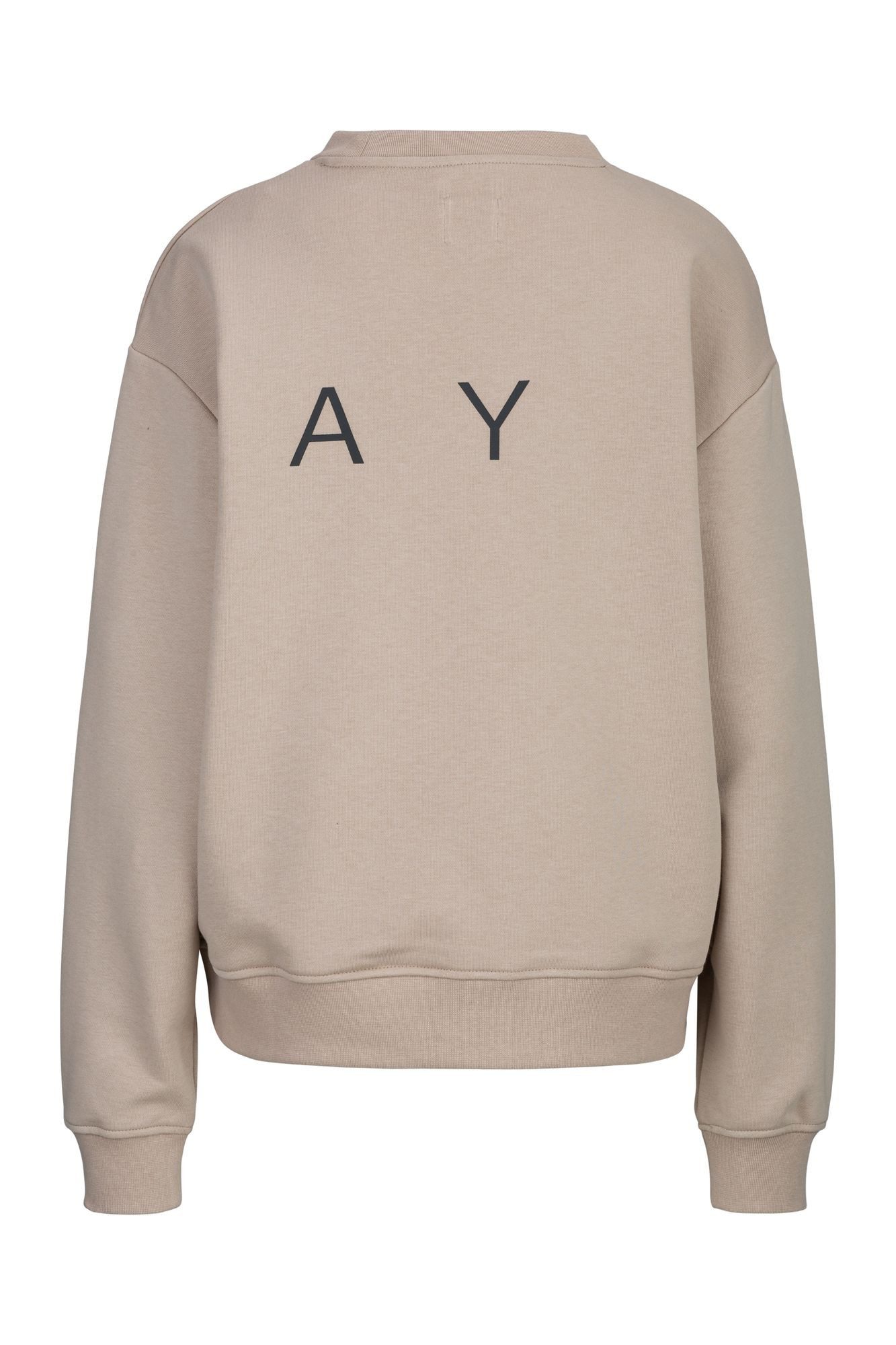 Replay Sweatshirt FRENCH TERRY COTTON-POLY günstig online kaufen
