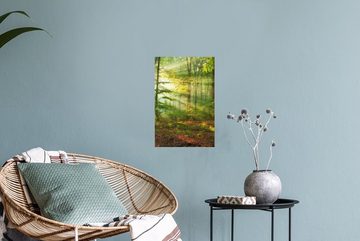 MuchoWow Wandsticker Sonne - Wald - Bäume - Natur - Herbst (1 St), Wandaufkleber, Wandtattoo, Selbstklebend, Wohnzimmer, Schlafzimmer