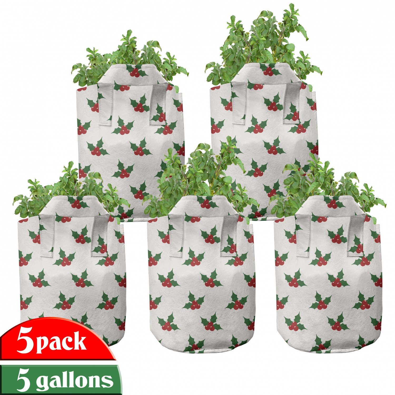 Beeren Pflanzkübel Abakuhaus Weihnachten Pflanzen, Holly für hochleistungsfähig Griffen mit Stofftöpfe