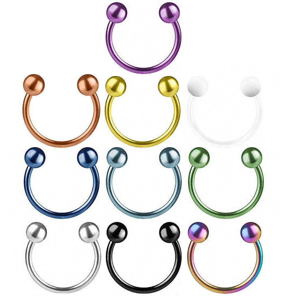 Taffstyle Nasenpiercing Hufesien Piercing Chirurgenstahl Lippe Helix Intim mit Kugeln (Universal Piercing Ring Horseshoe Nippel Lippe Nase Septum Tragus Ohr Hel – Bild 3 von 3