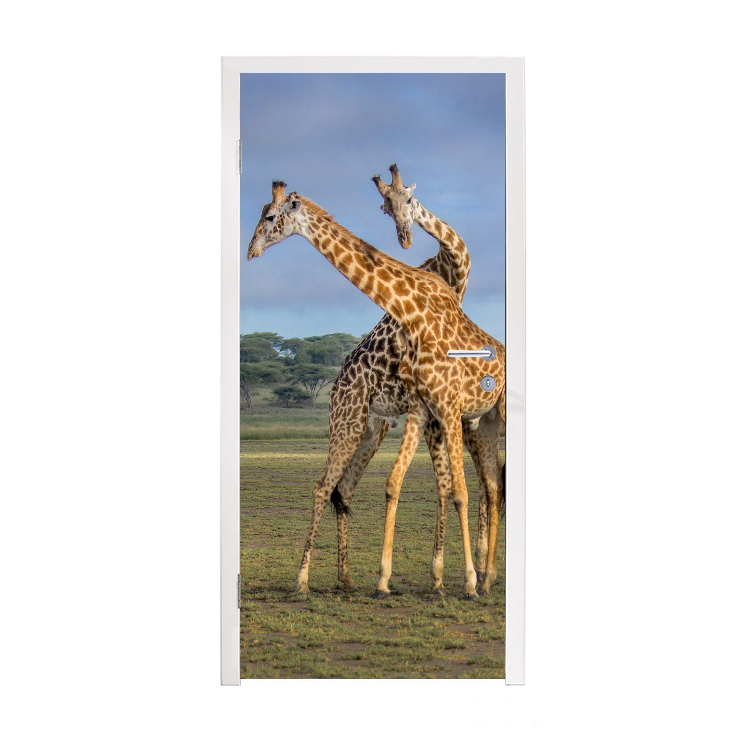 MuchoWow Türtapete Giraffen - Tiere - Natur, Matt, bedruckt, (1 St), Fototapete für Tür, Türaufkleber, 75x205 cm