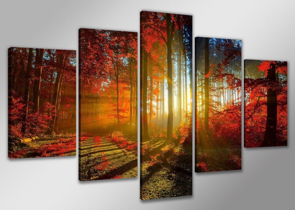 Visario Bild 5 er Set auf Leinwand, sofort aufhängbar, gerahmt, 160 x 80 cm, 5530