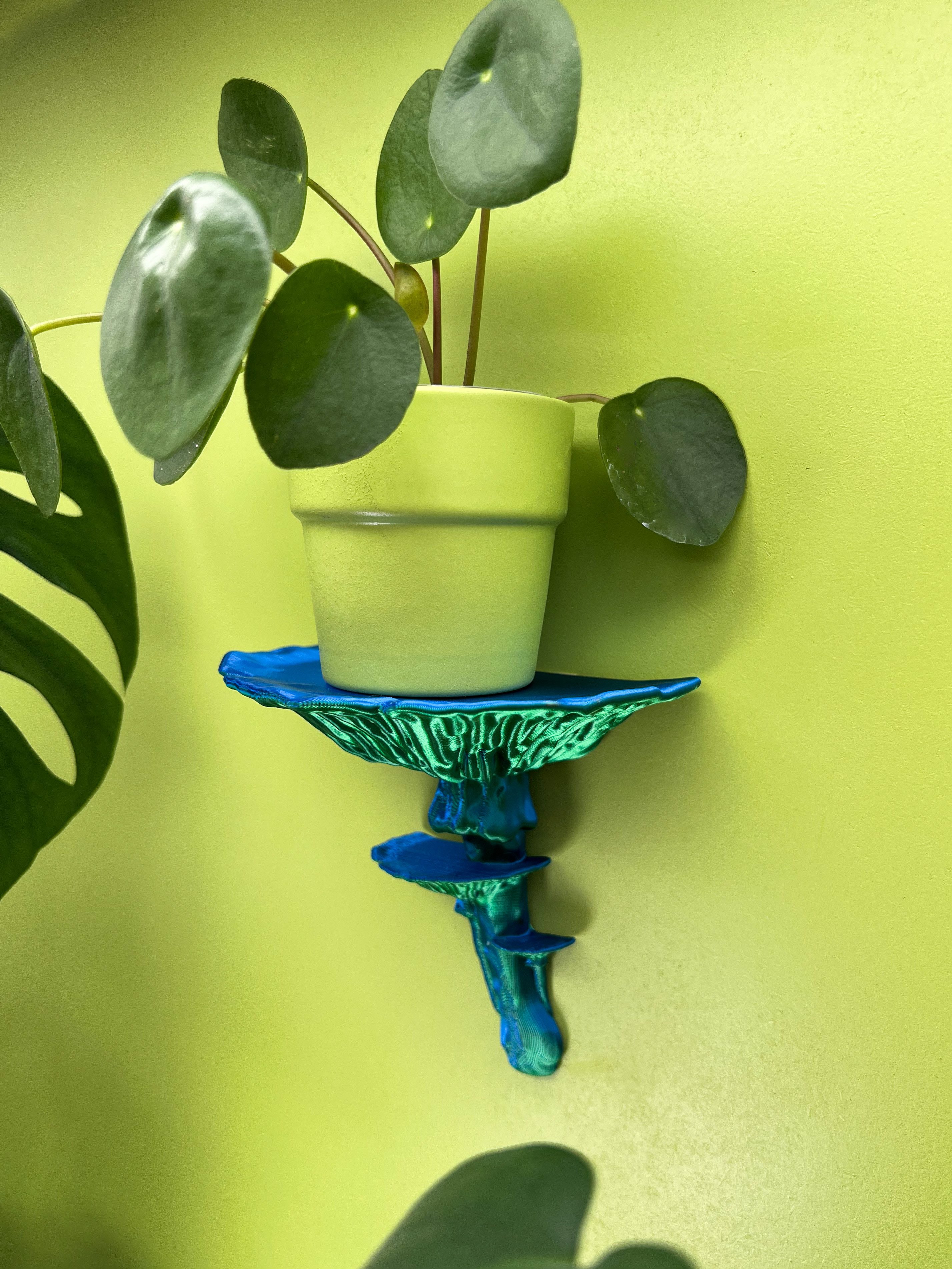 Roomberry Deko-Wandregal Amanitapilz Wandregal, Deko-Regal für Wand, M/L/XL, 5 Farben, Hergestellt in Deutschland in unserer eigenen Manufaktur