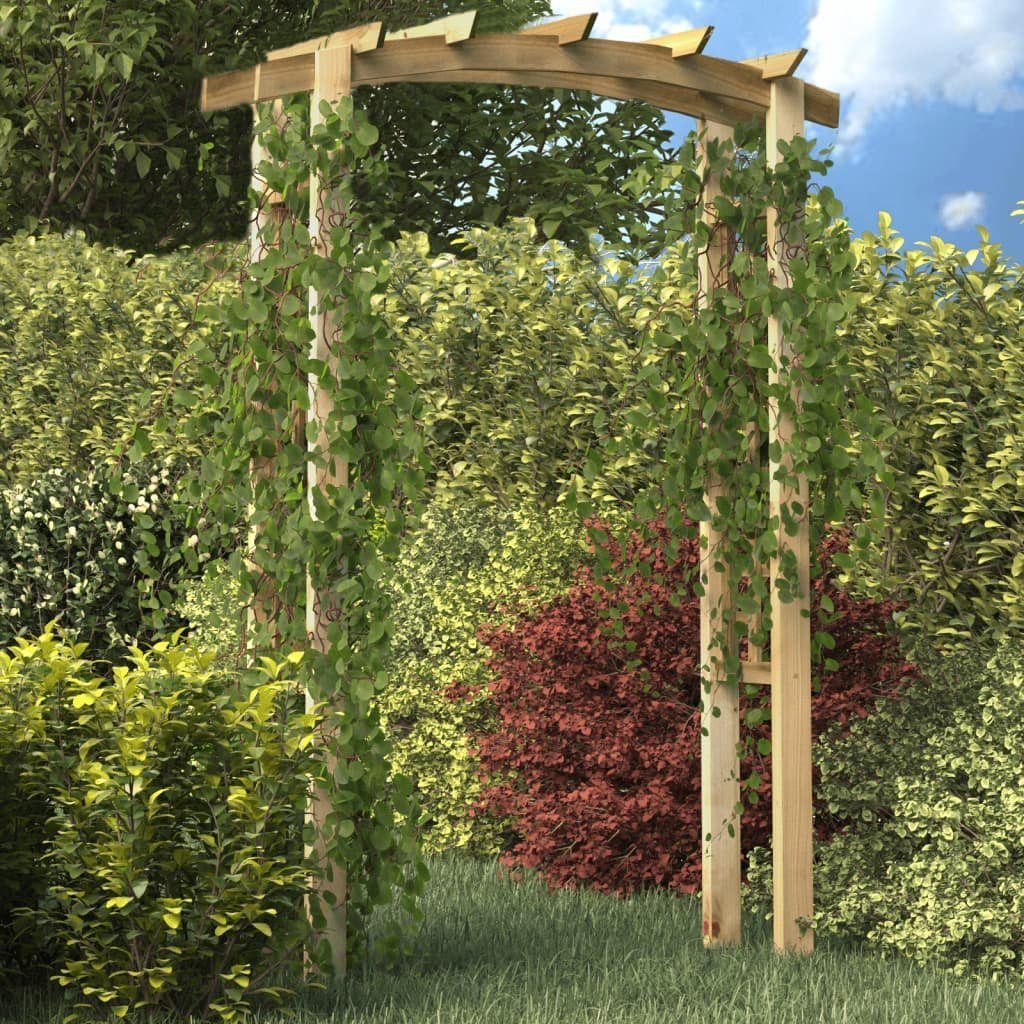 DOTMALL Spalier Gartenbogen, für Kletterpflanzen, aus Holz, 150x60x210 cm