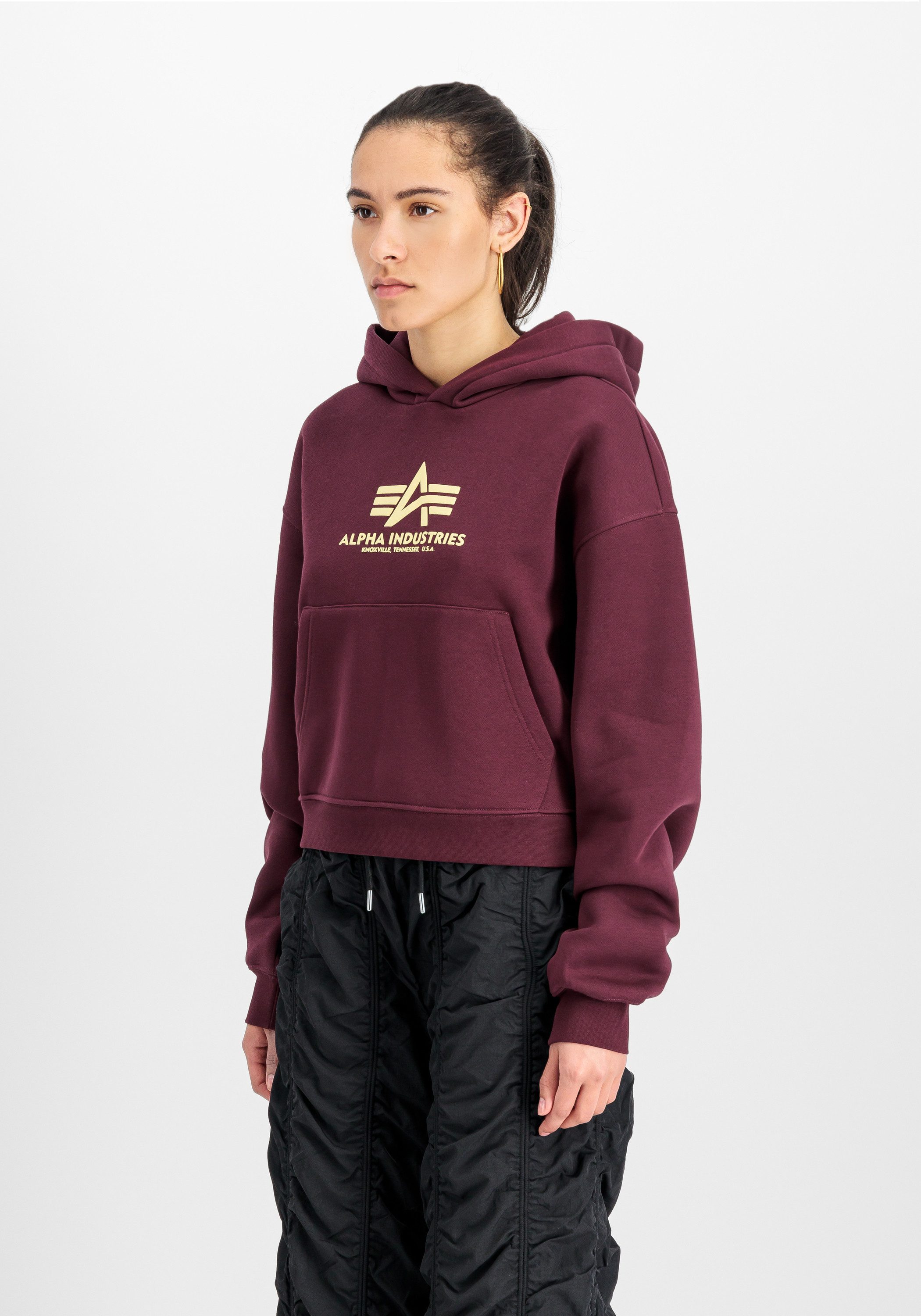 Alpha Industries Hoodie Basic Hoodie BL PP W