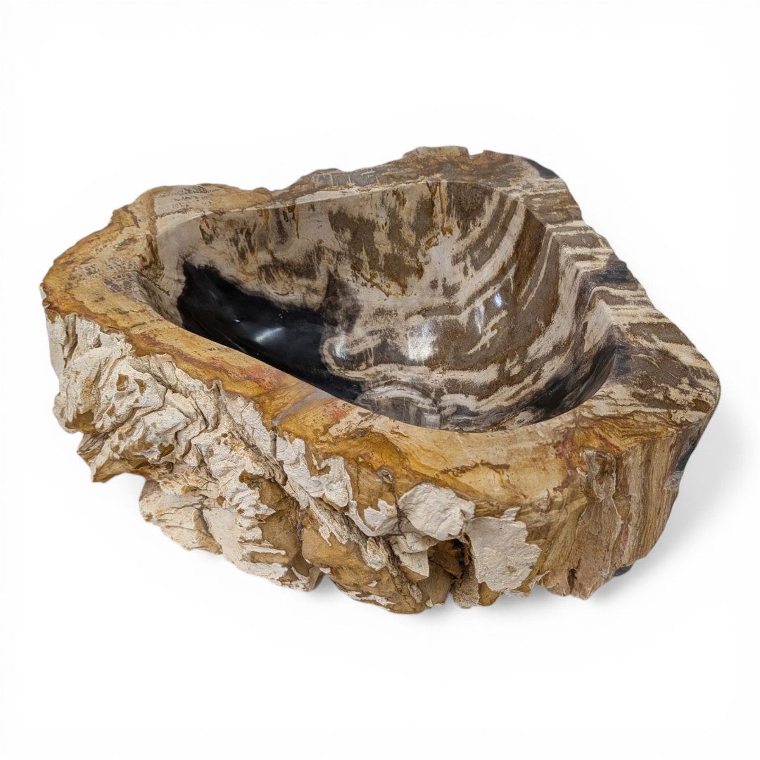 Kinaree Aufsatzwaschbecken Versteinertes Holz Waschbecken #22, poliert, Naturstein, Beige, Braun, Grau, Bruchstein Optik