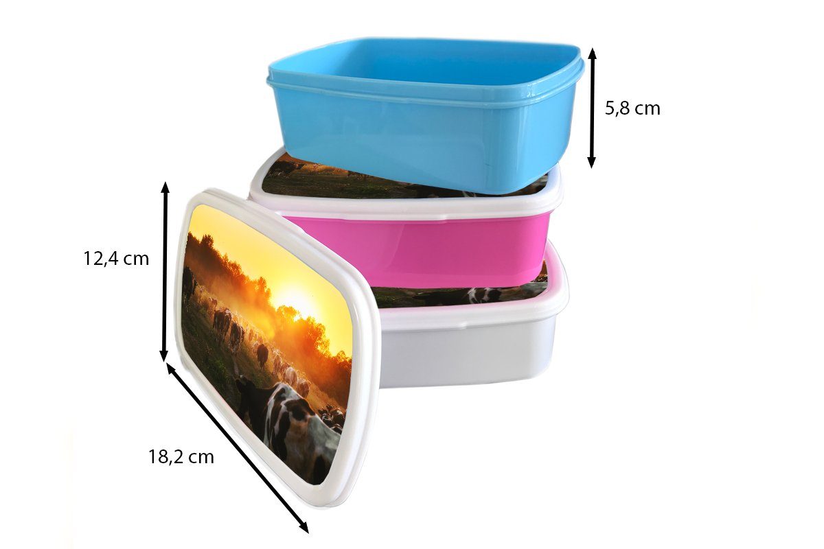 Kunststoff, Tiere, - - Sonnenuntergang Lunchbox Brotbox - (2-tlg), für Mädchen, Snackbox, Erwachsene, rosa MuchoWow Kinder, Brotdose Kunststoff Kühe Wiese